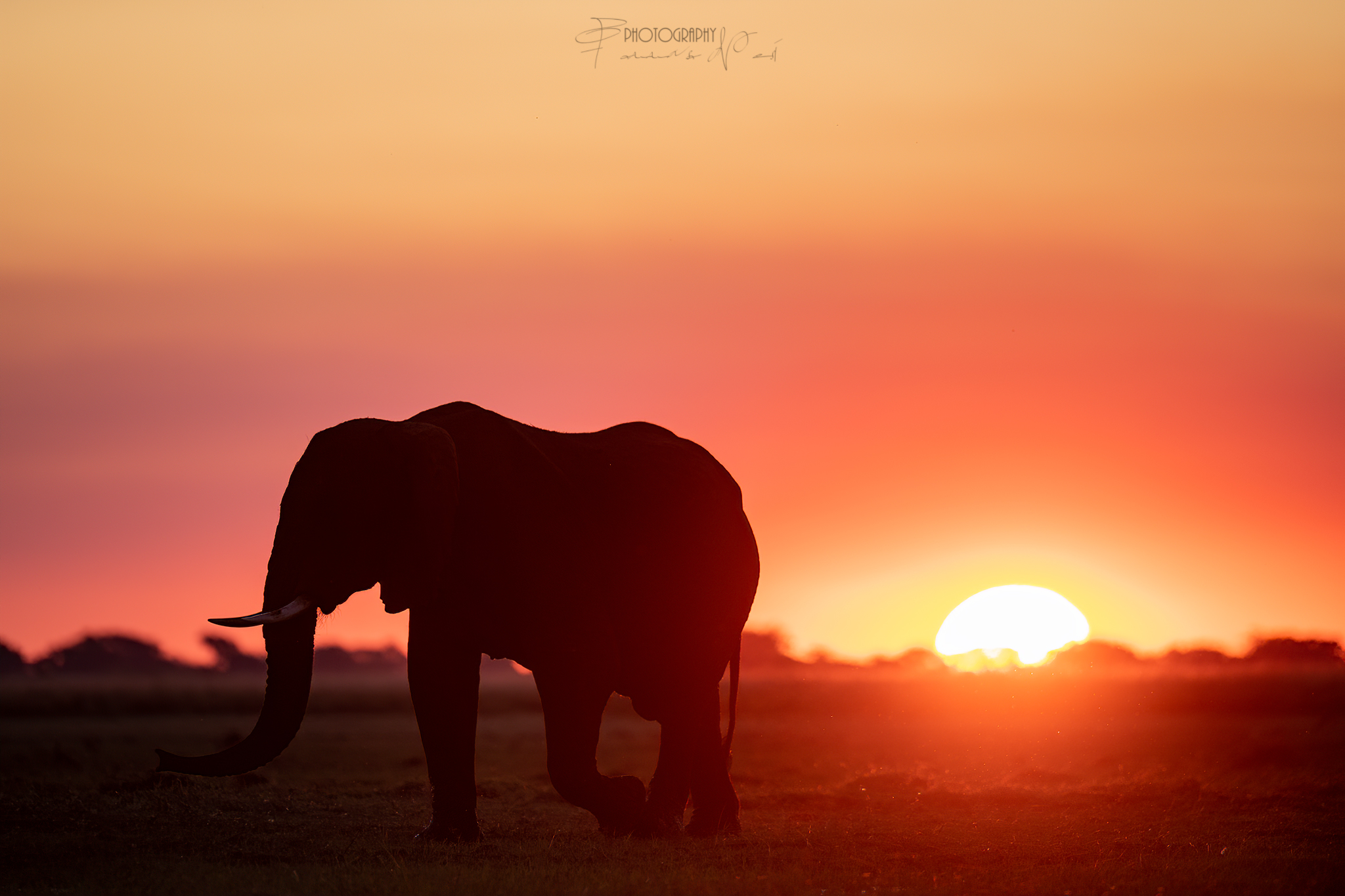 Tramonto Africano