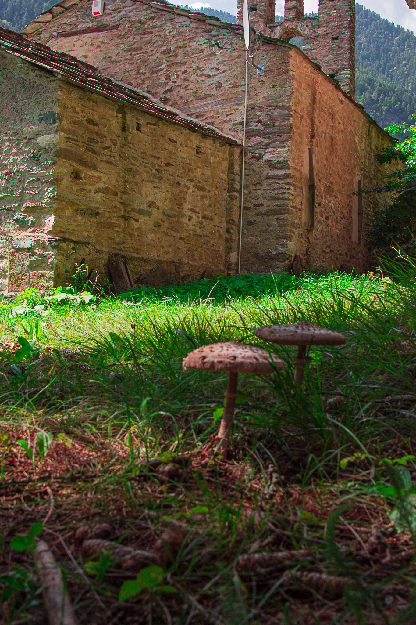 Church SanT Eusebio Castel Delfino X century