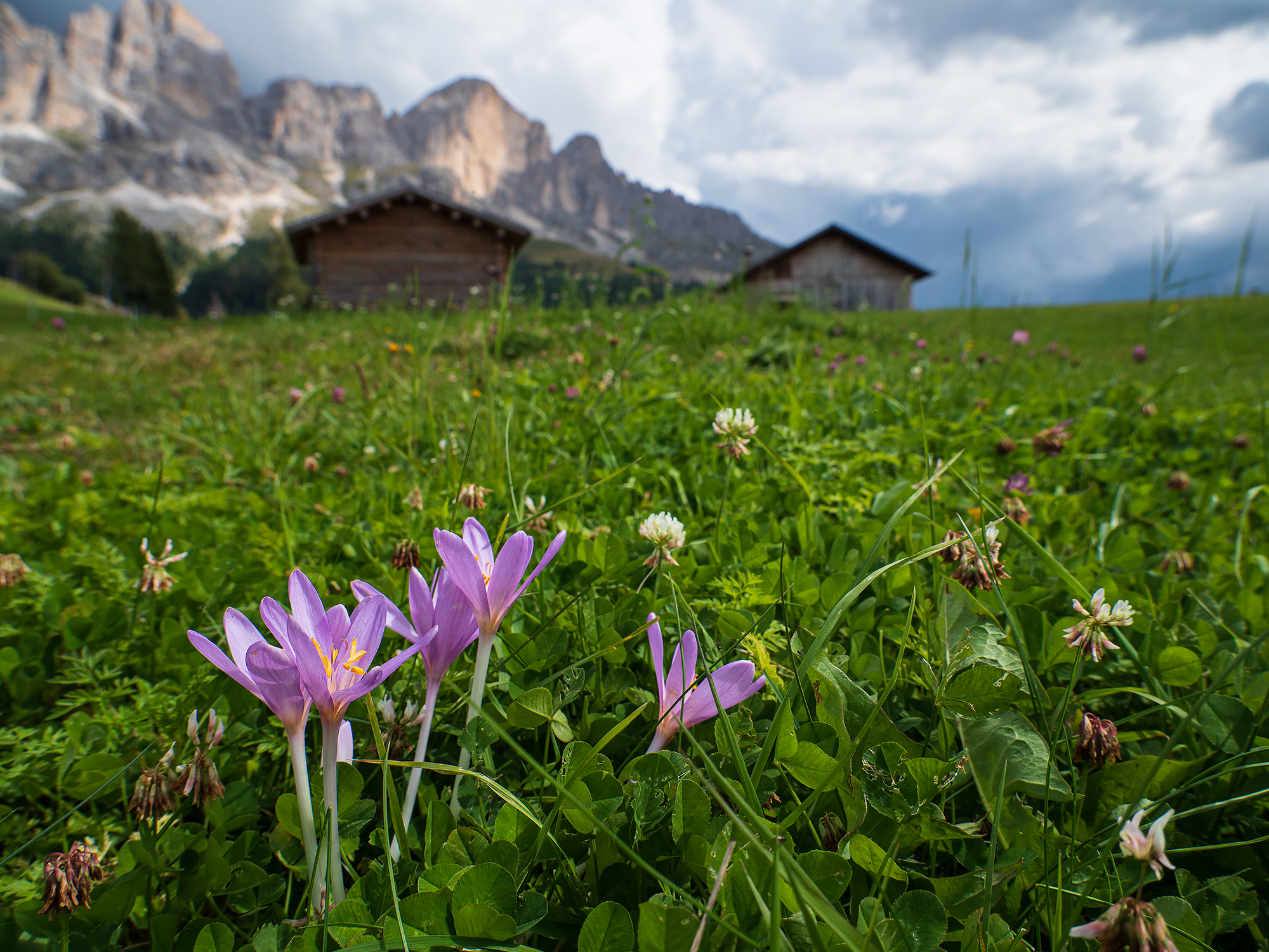 Val D'Ega - Towards the Catinaccio and malga Jolanda