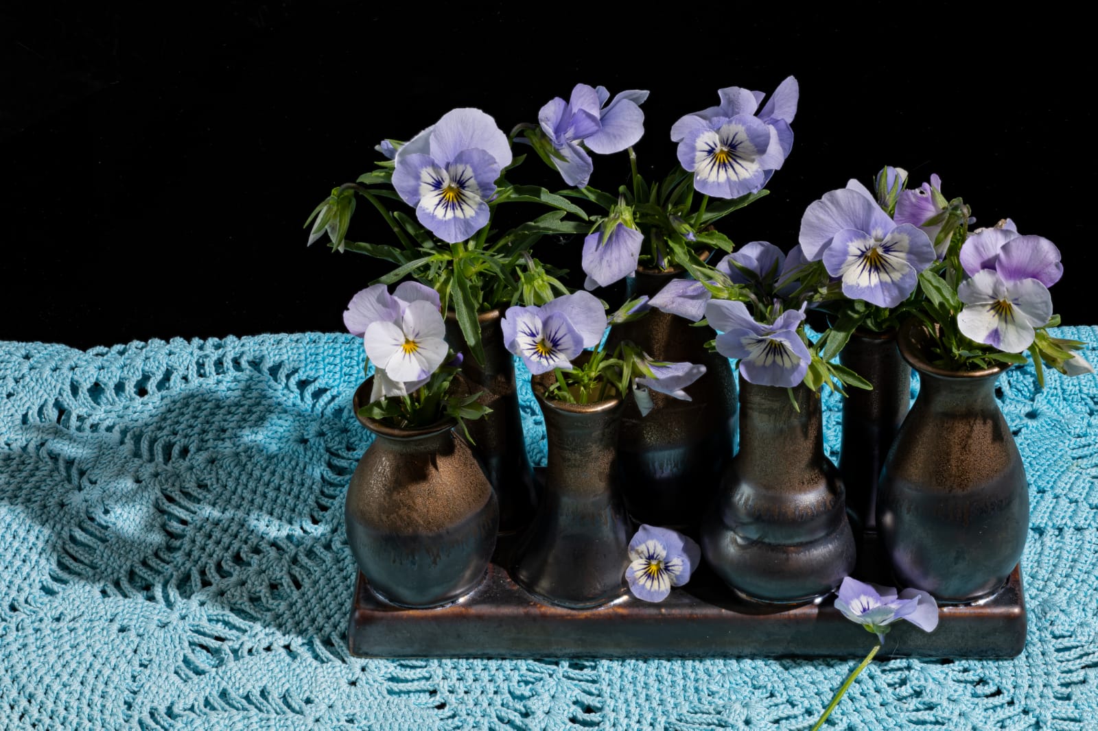 Flowers from my garden