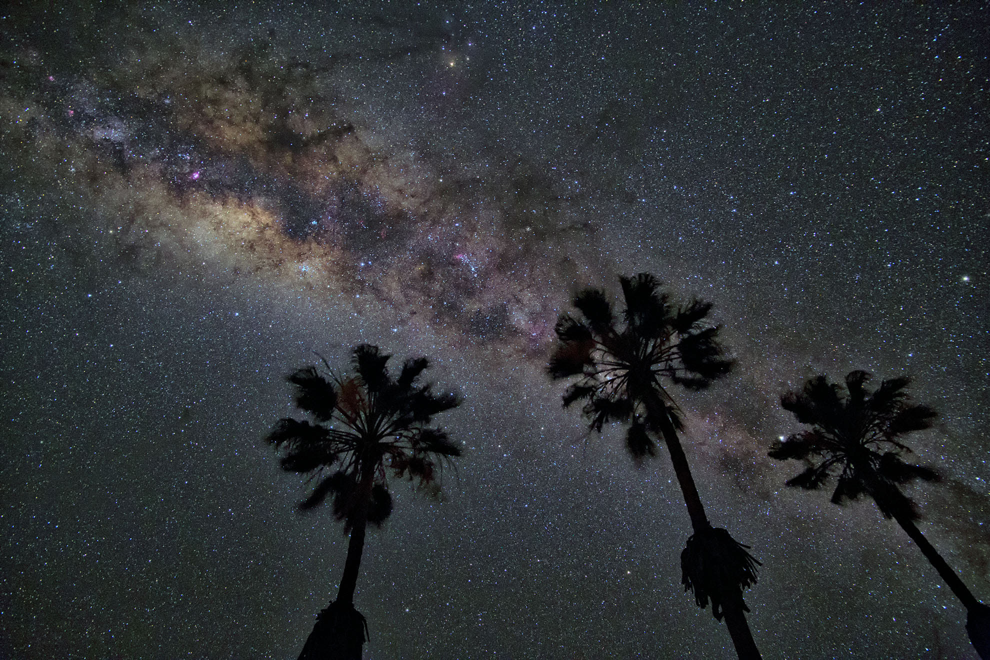 Kalahari Milky Way 2022