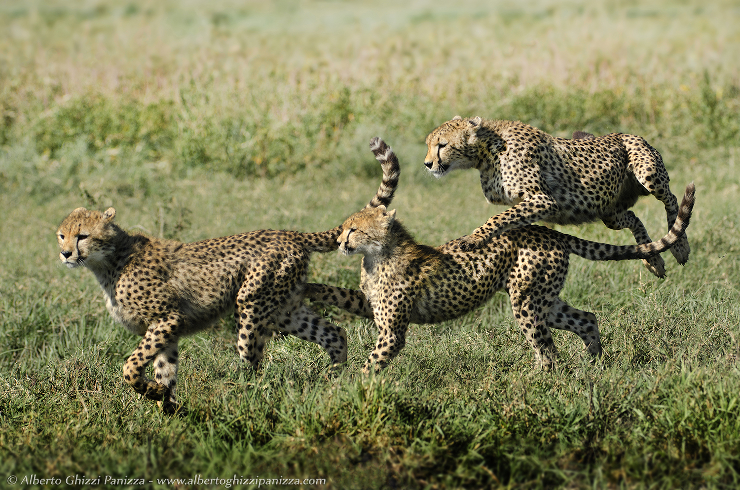 Games between brothers