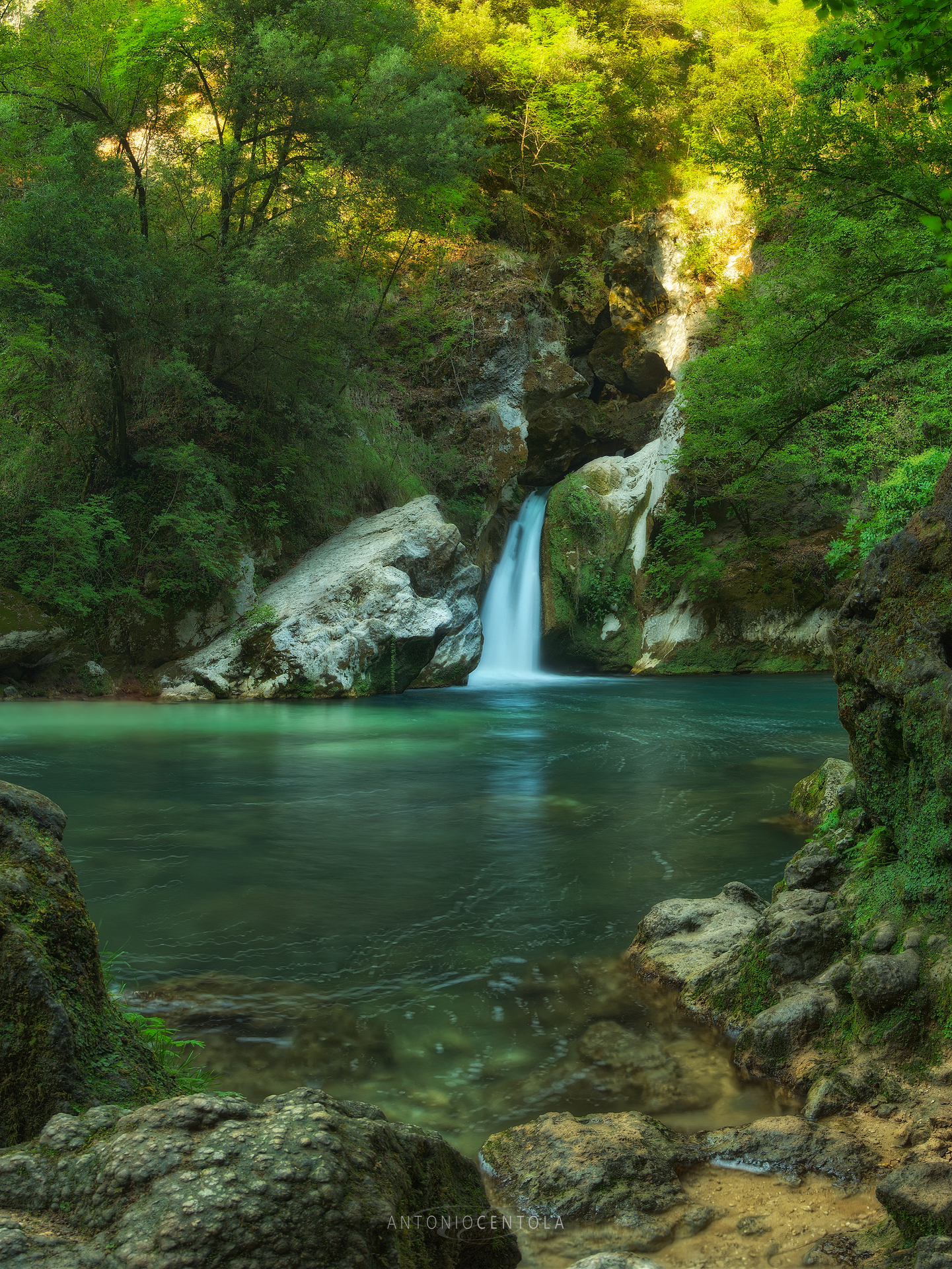 Le meraviglie della natura