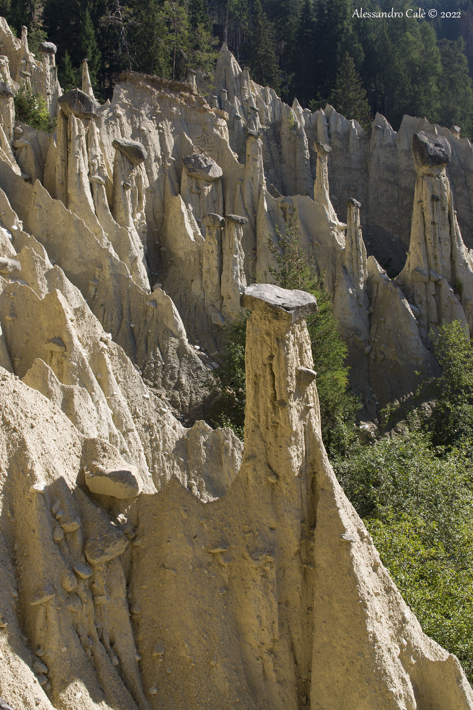 The Earth Pyramids of Platten 8268