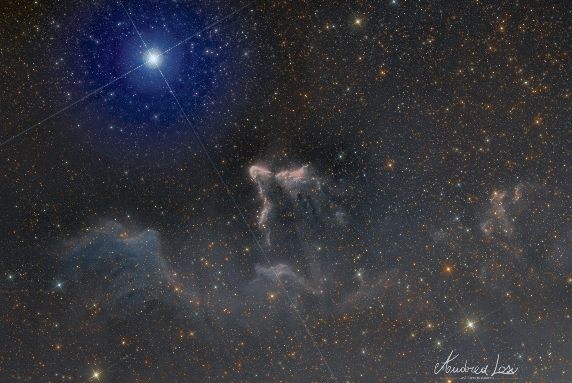 Cassiopeia's ghost