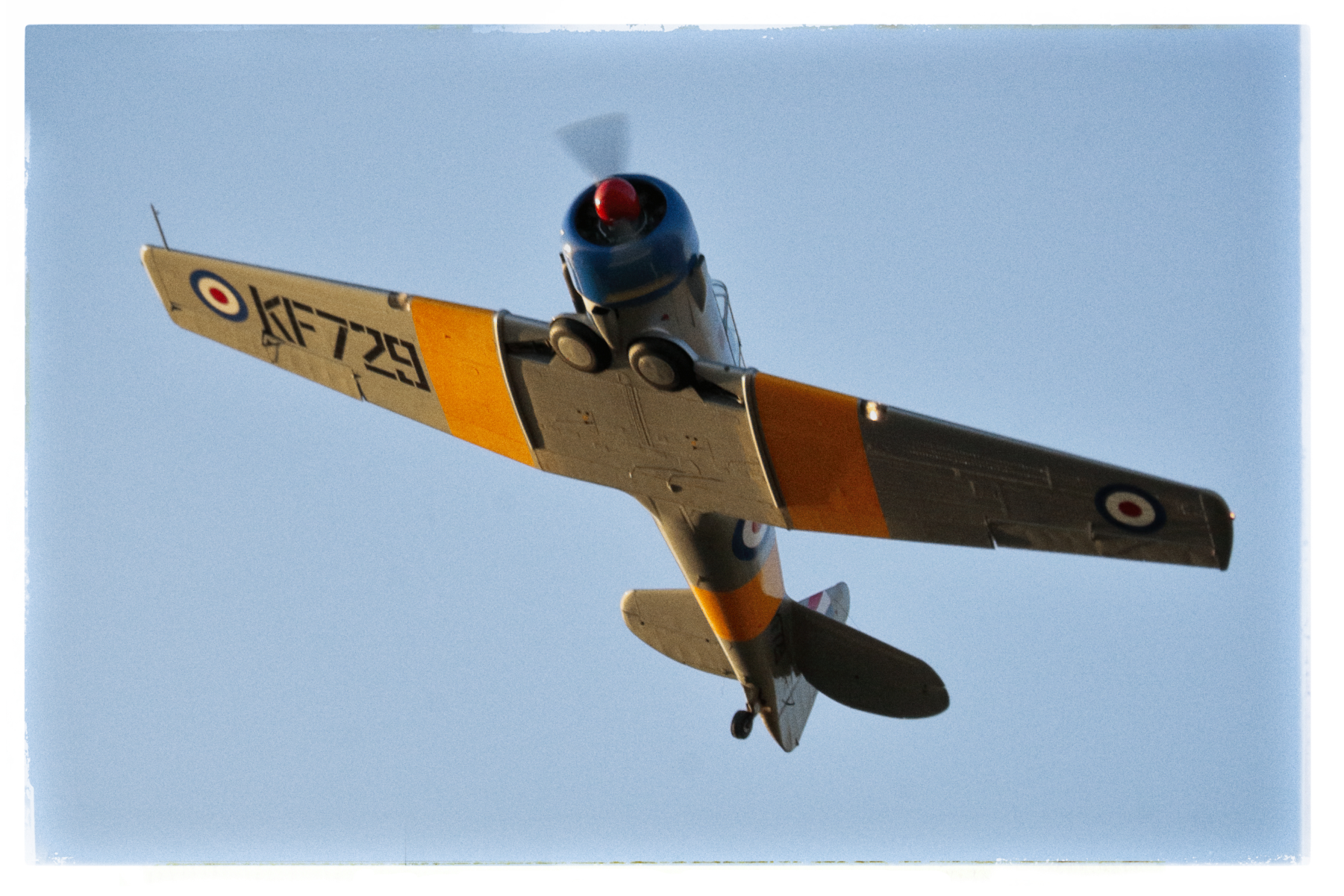 North American T-6 Texan - 010