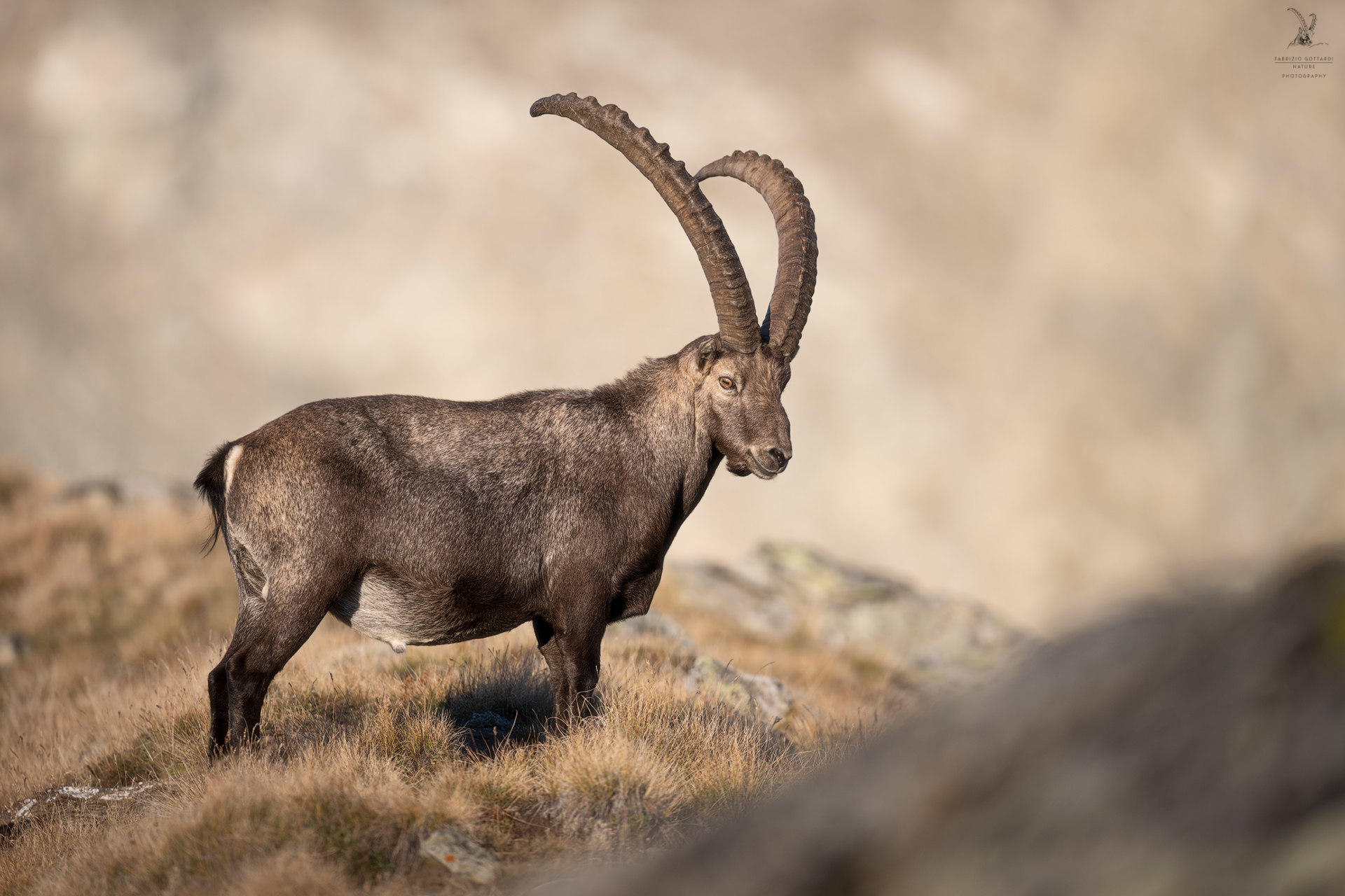 At the first rays of sunshine