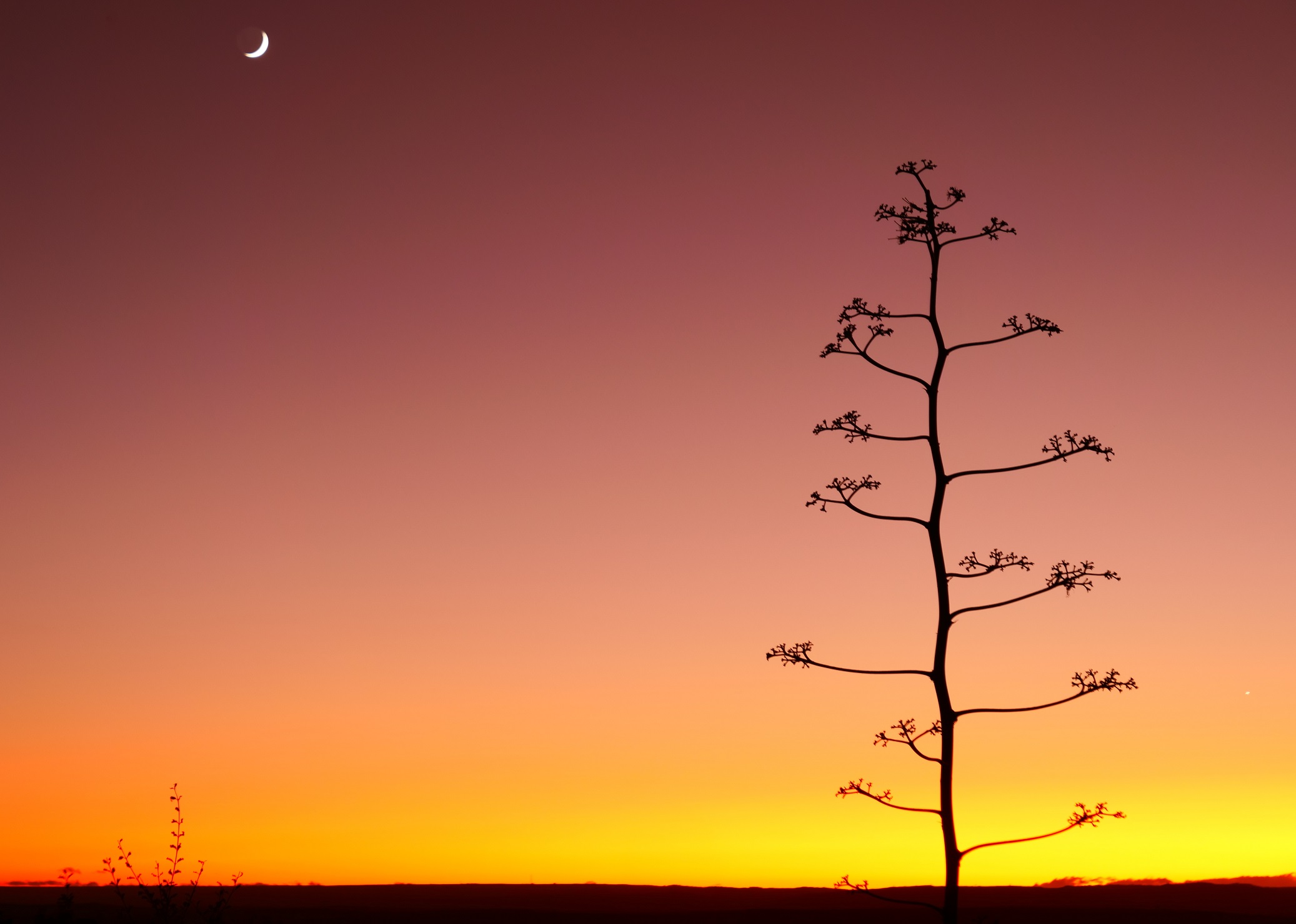 sunrise near Isalo park