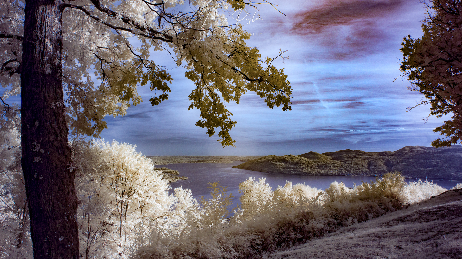 Vista da Premeno su Lago Maggiore
