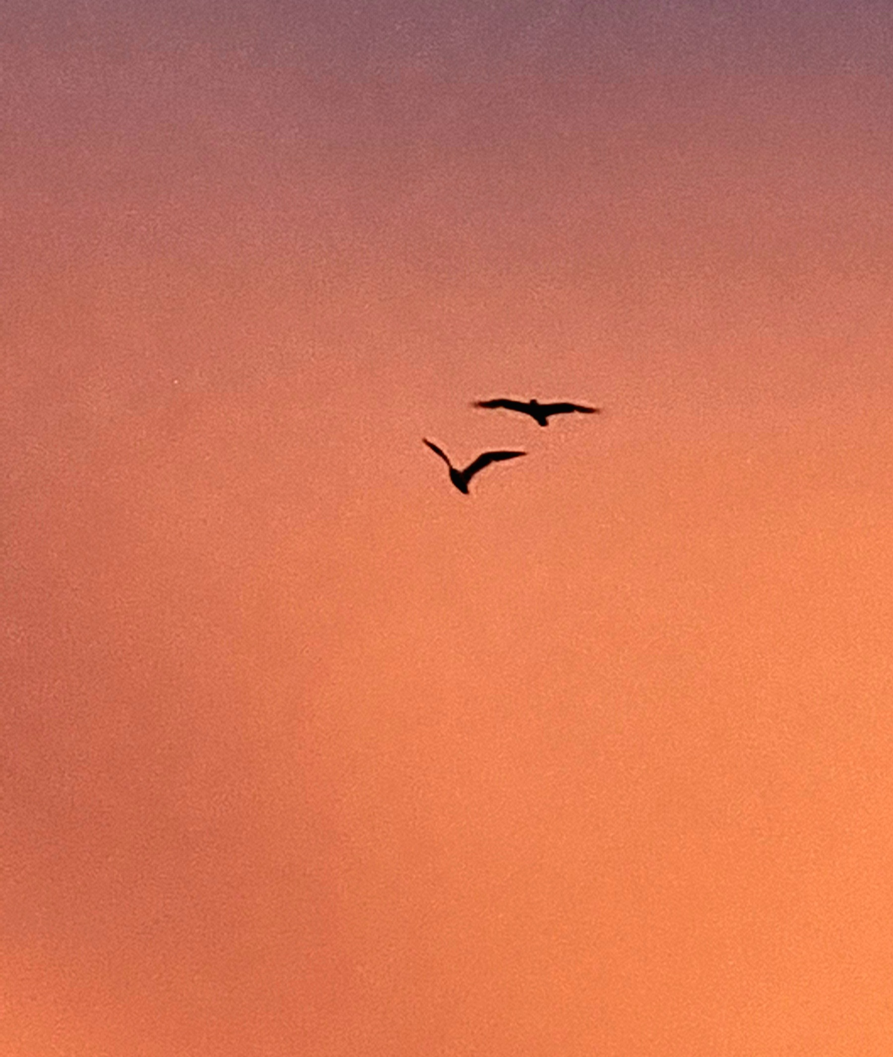 In volo nel cielo
