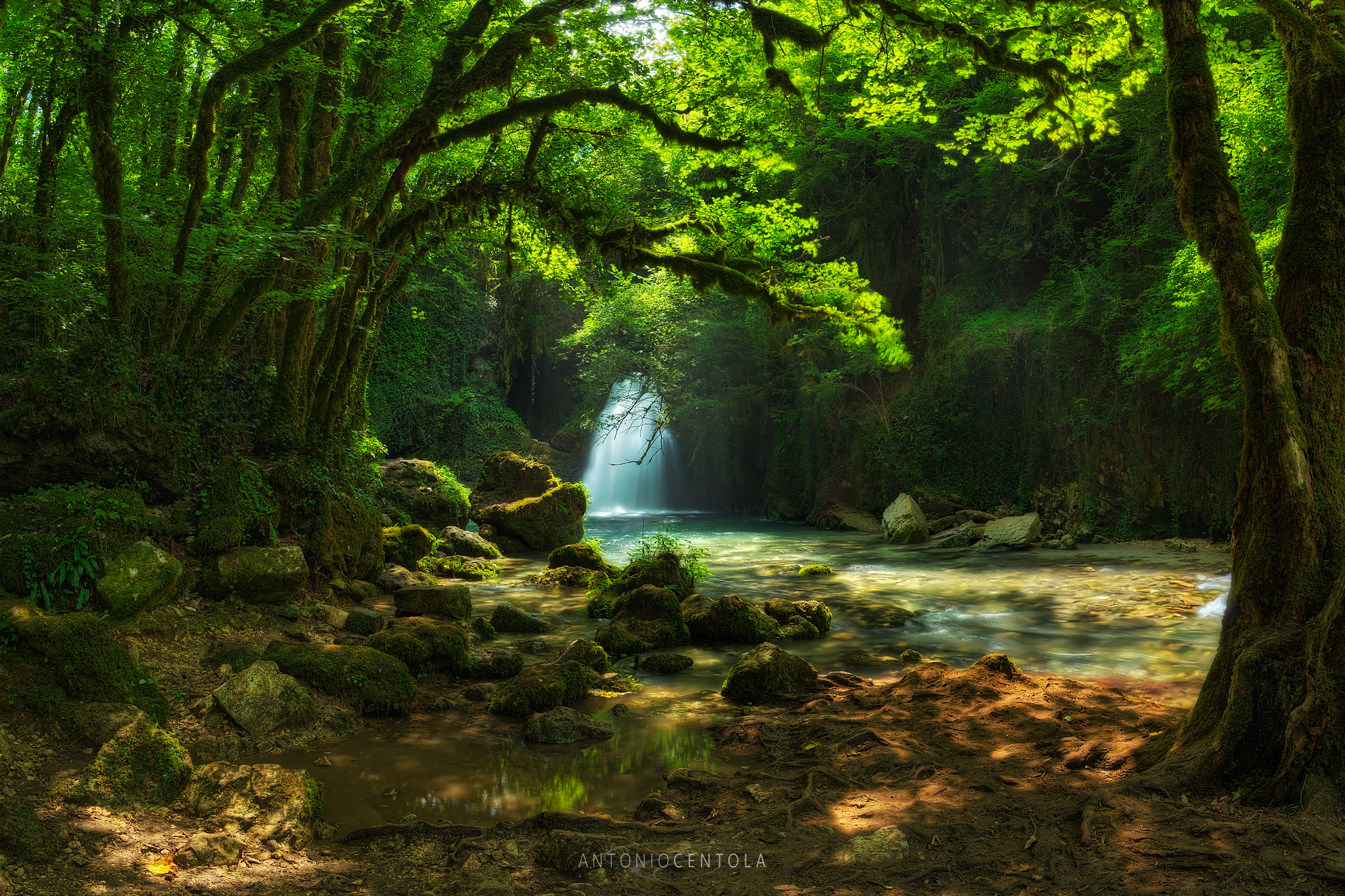 Le meraviglie della natura parte 2