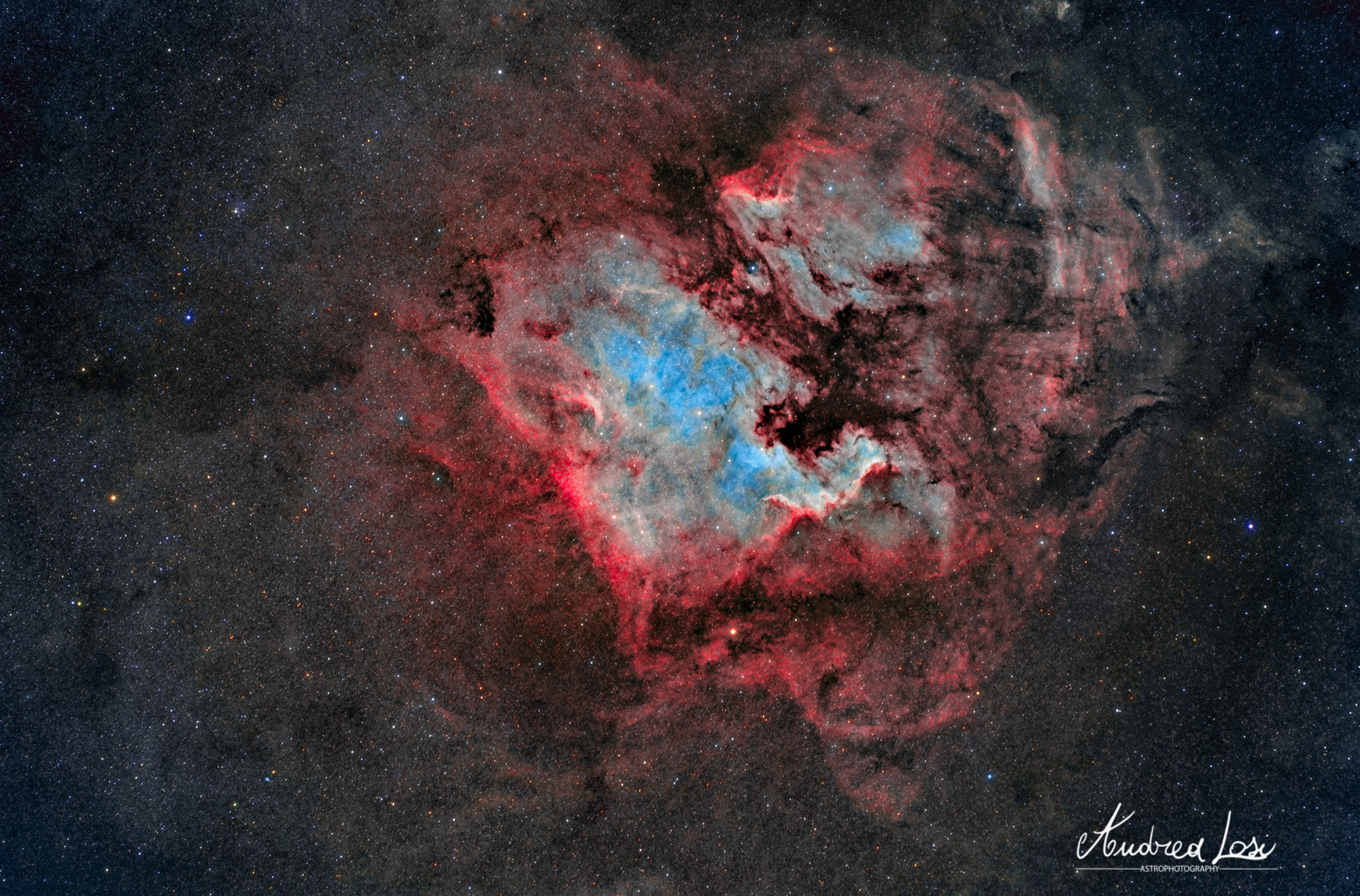 Nebulose Nord America e Pellicano