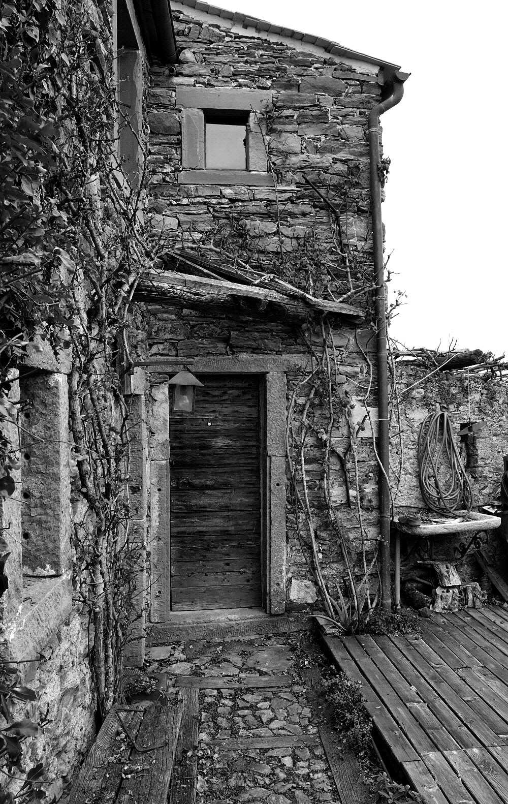 Caratteristiche bellezze 2