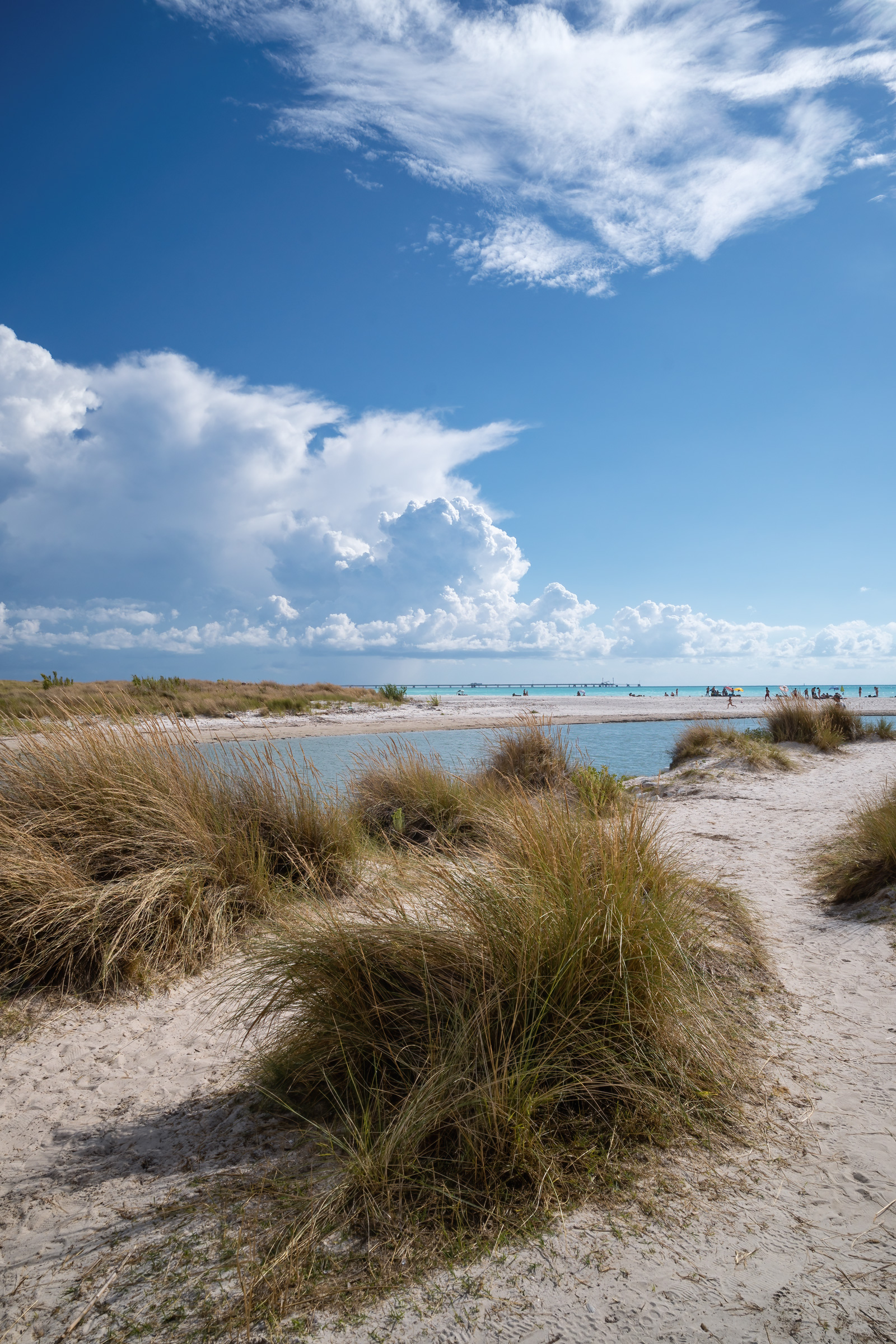 White Beaches