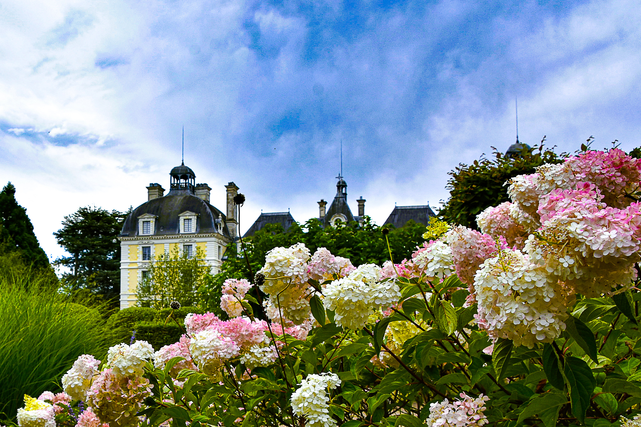 Flowers in the castle on the Loire