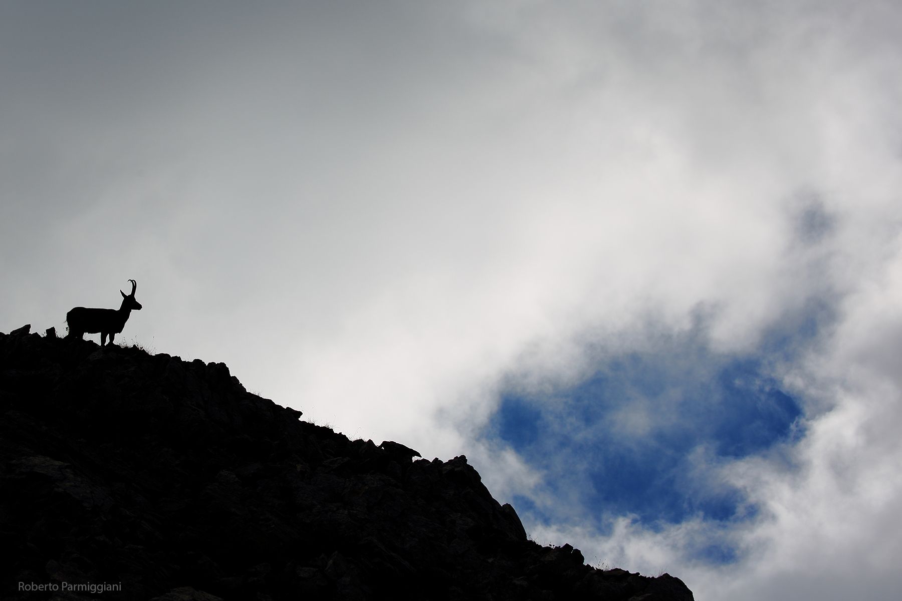 Il camoscio e lo squarcio nel cielo