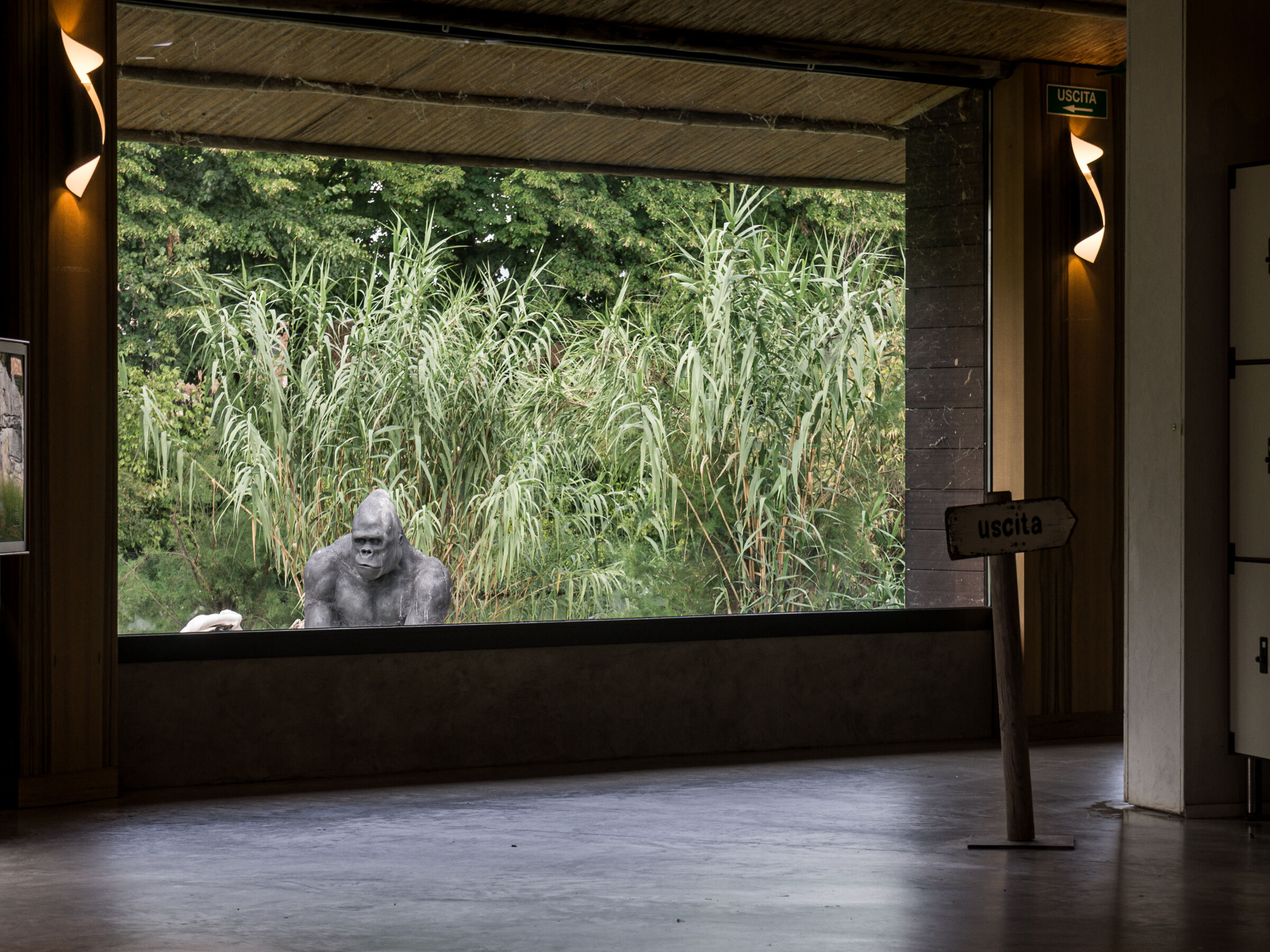 Mezzogiorno nel giardino del meme animale