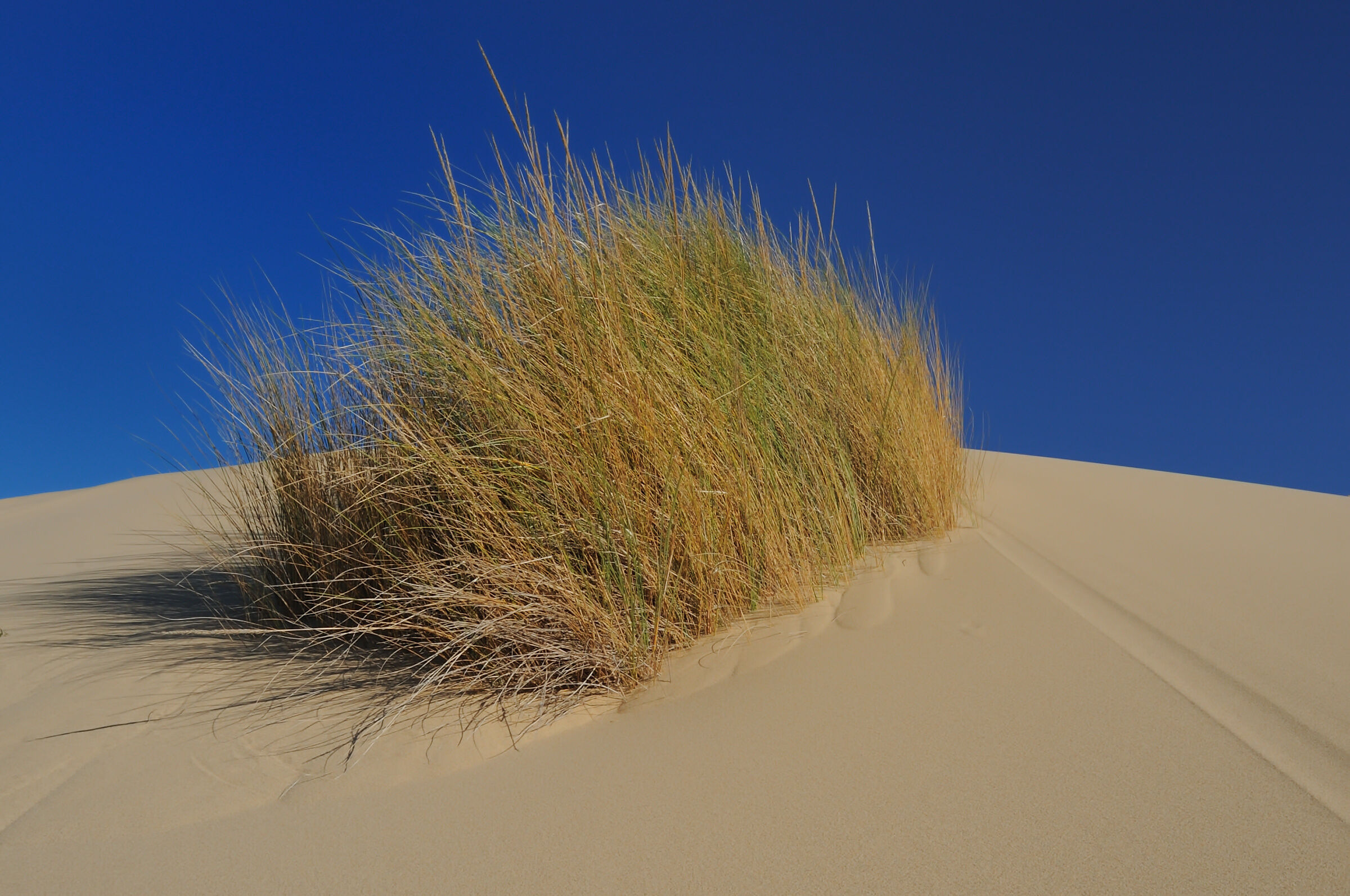 Dunes of Piscinas Arbus