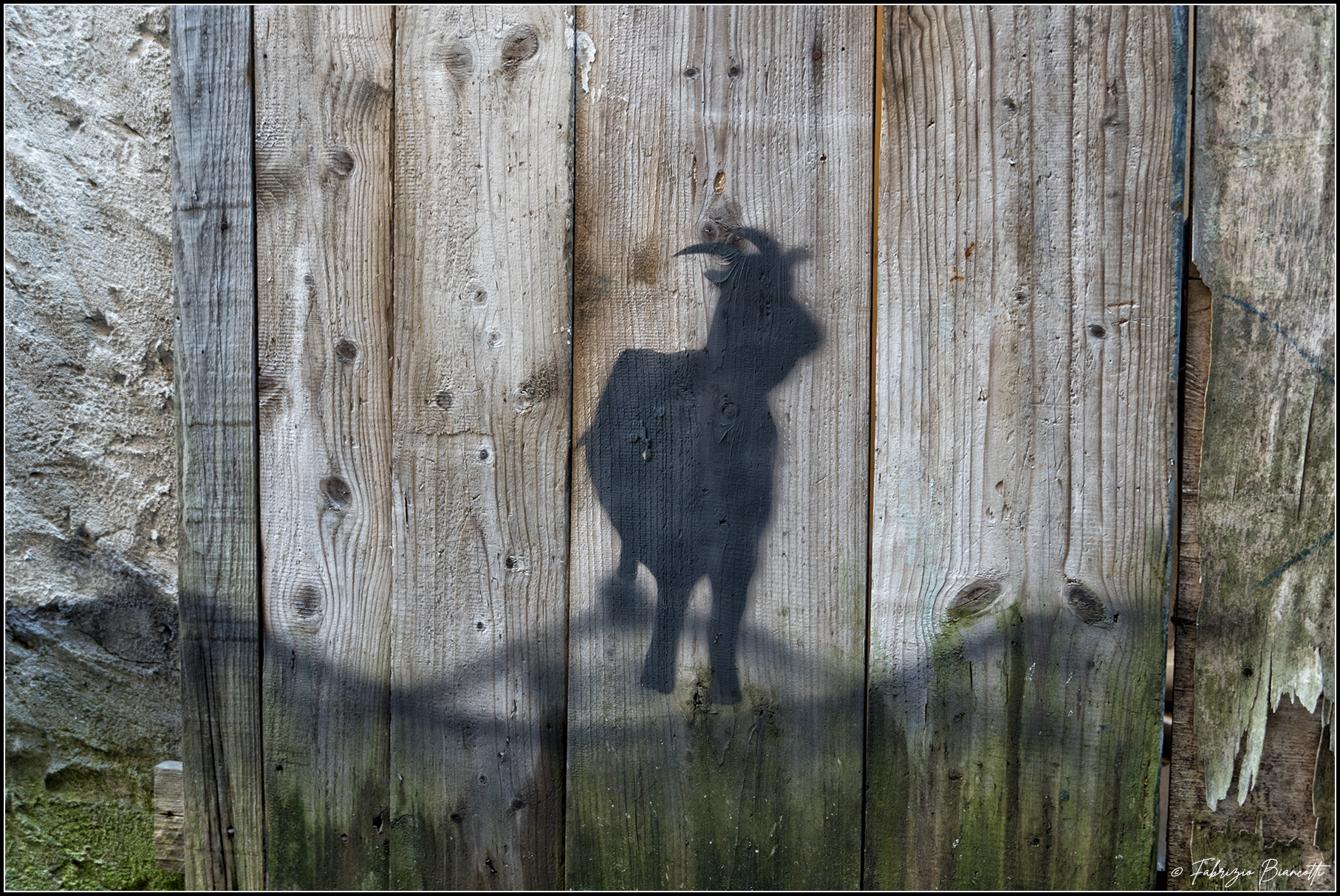 Modern cave paintings - Street Art