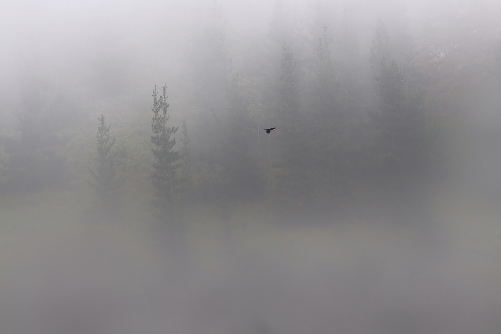 Untitled Photo