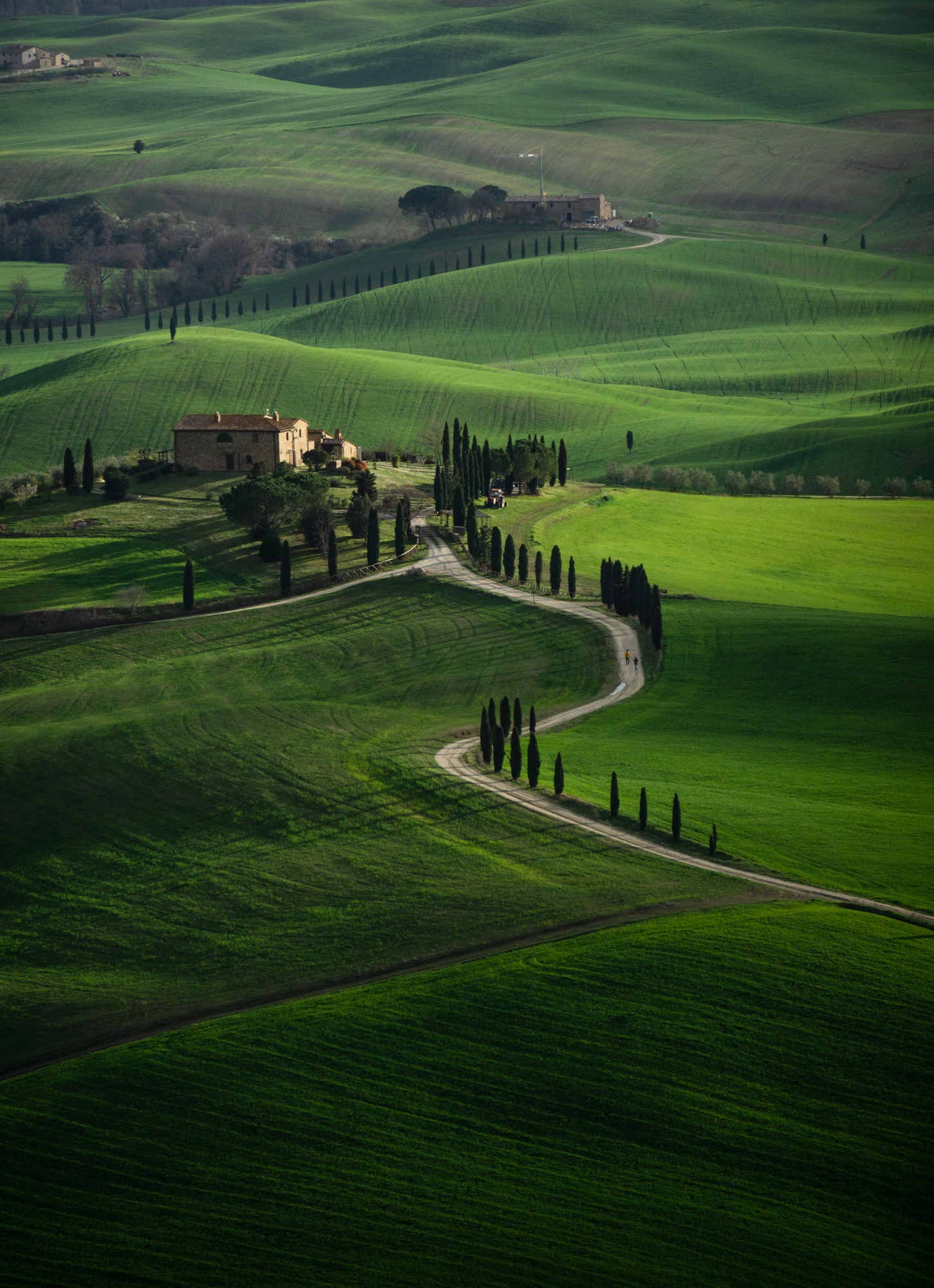 Untitled Photo