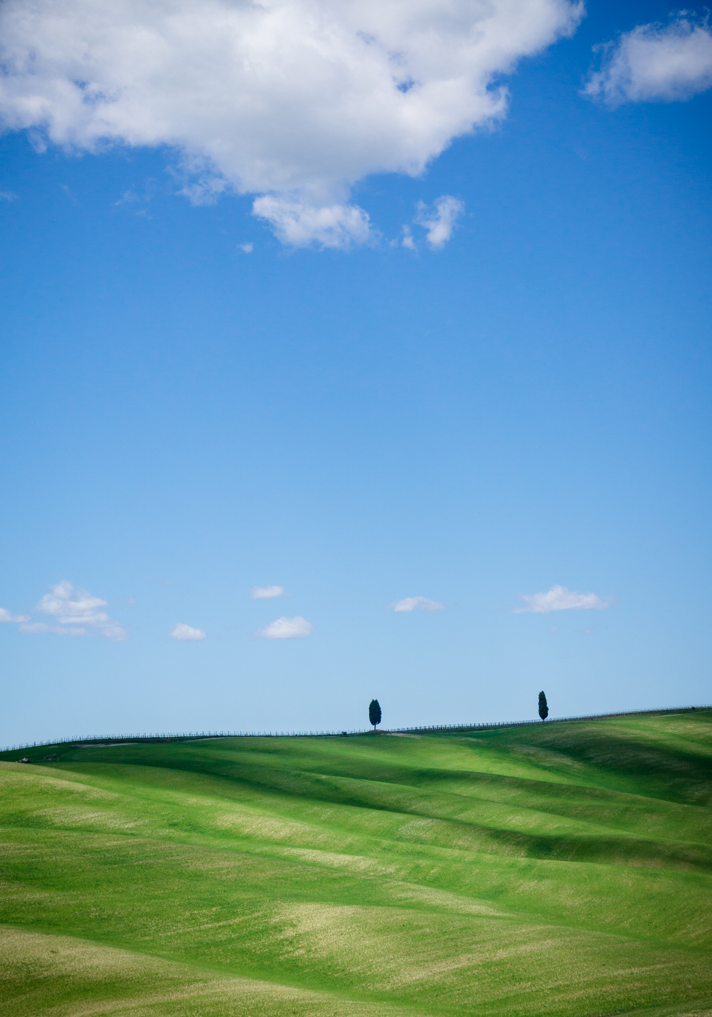 Untitled Photo