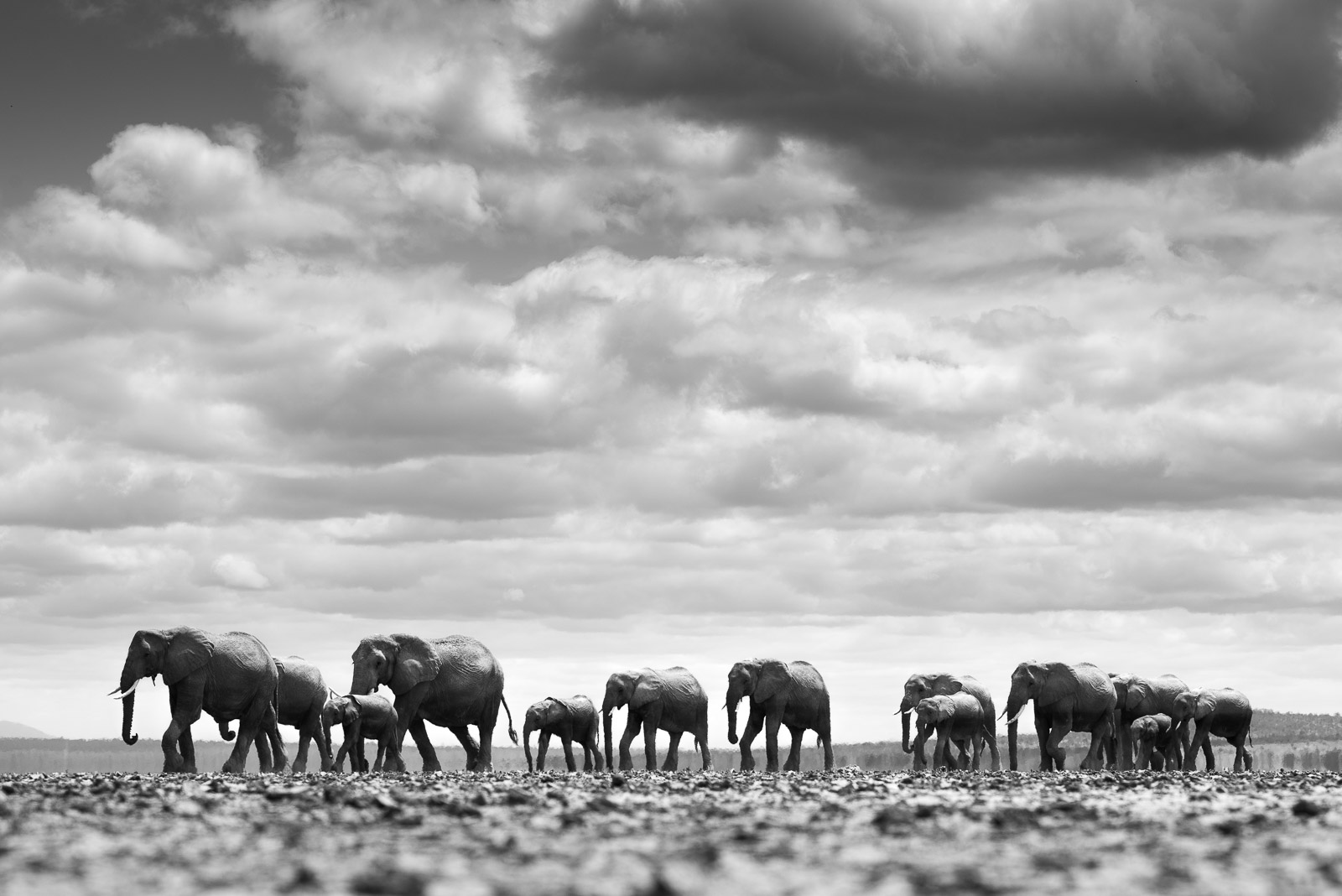 Walking on the dry lake