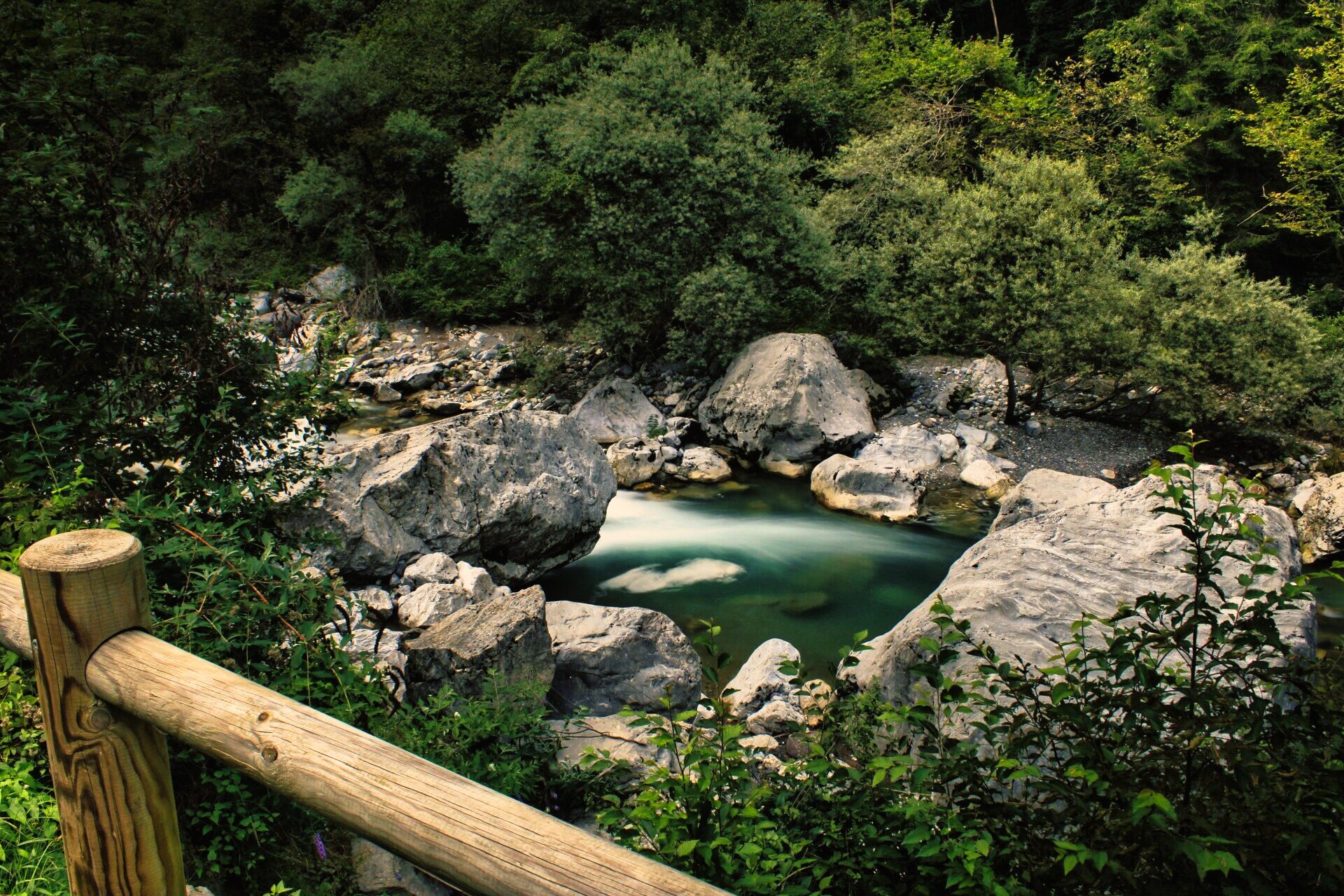 Stream in the woods - Angolo Terme