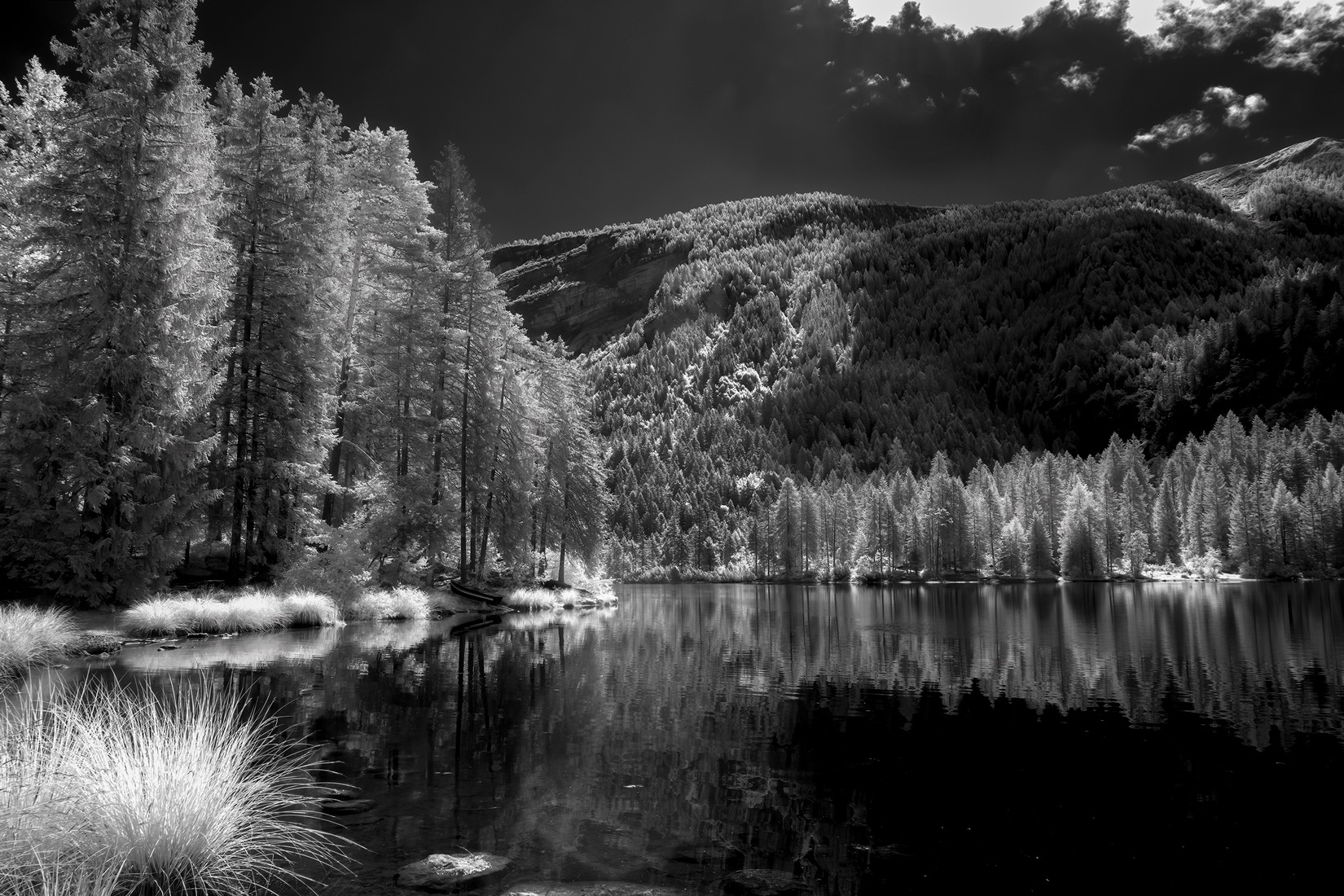 Tovel all'infrarosso