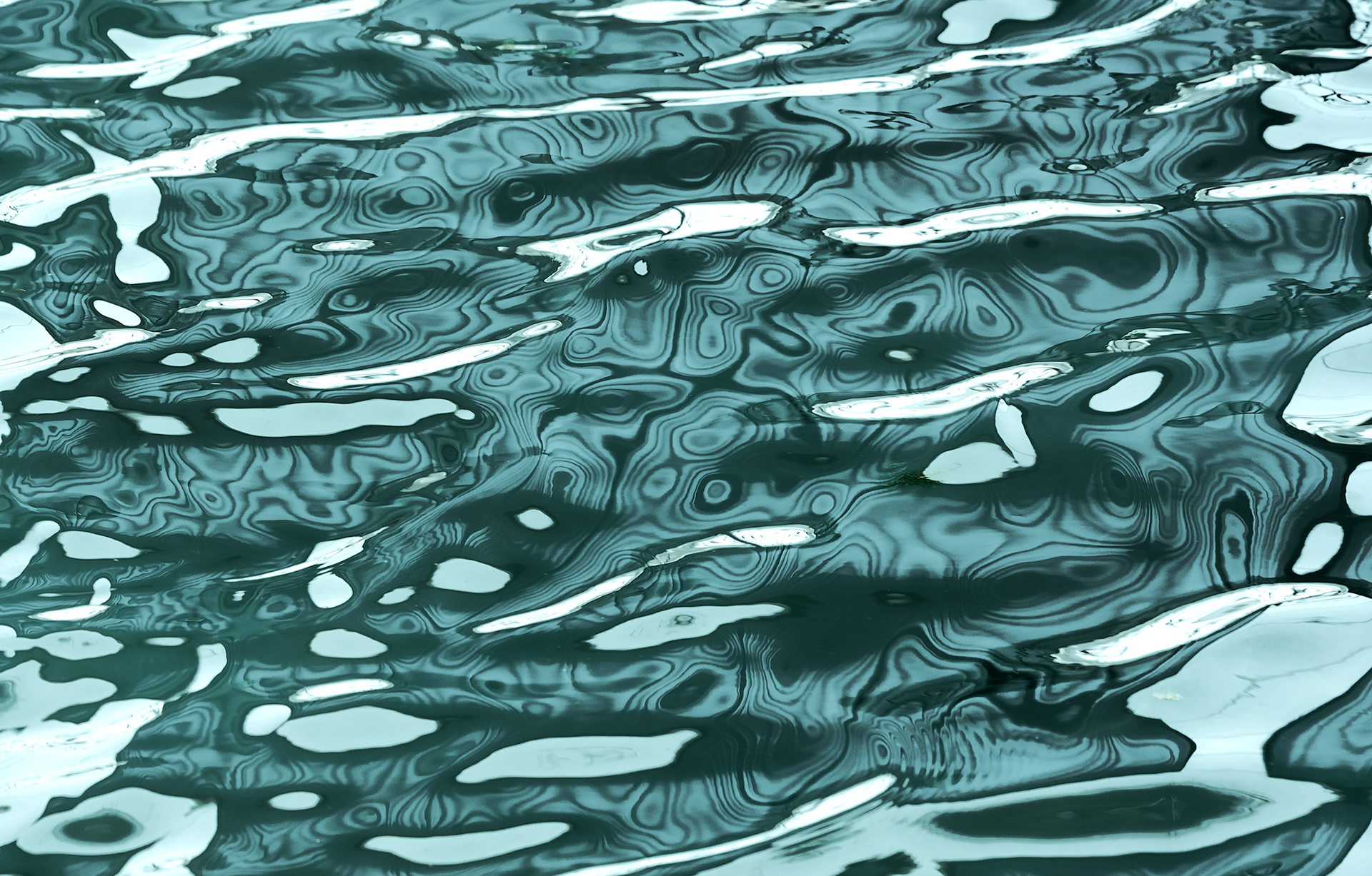 Reflection in the water abstract