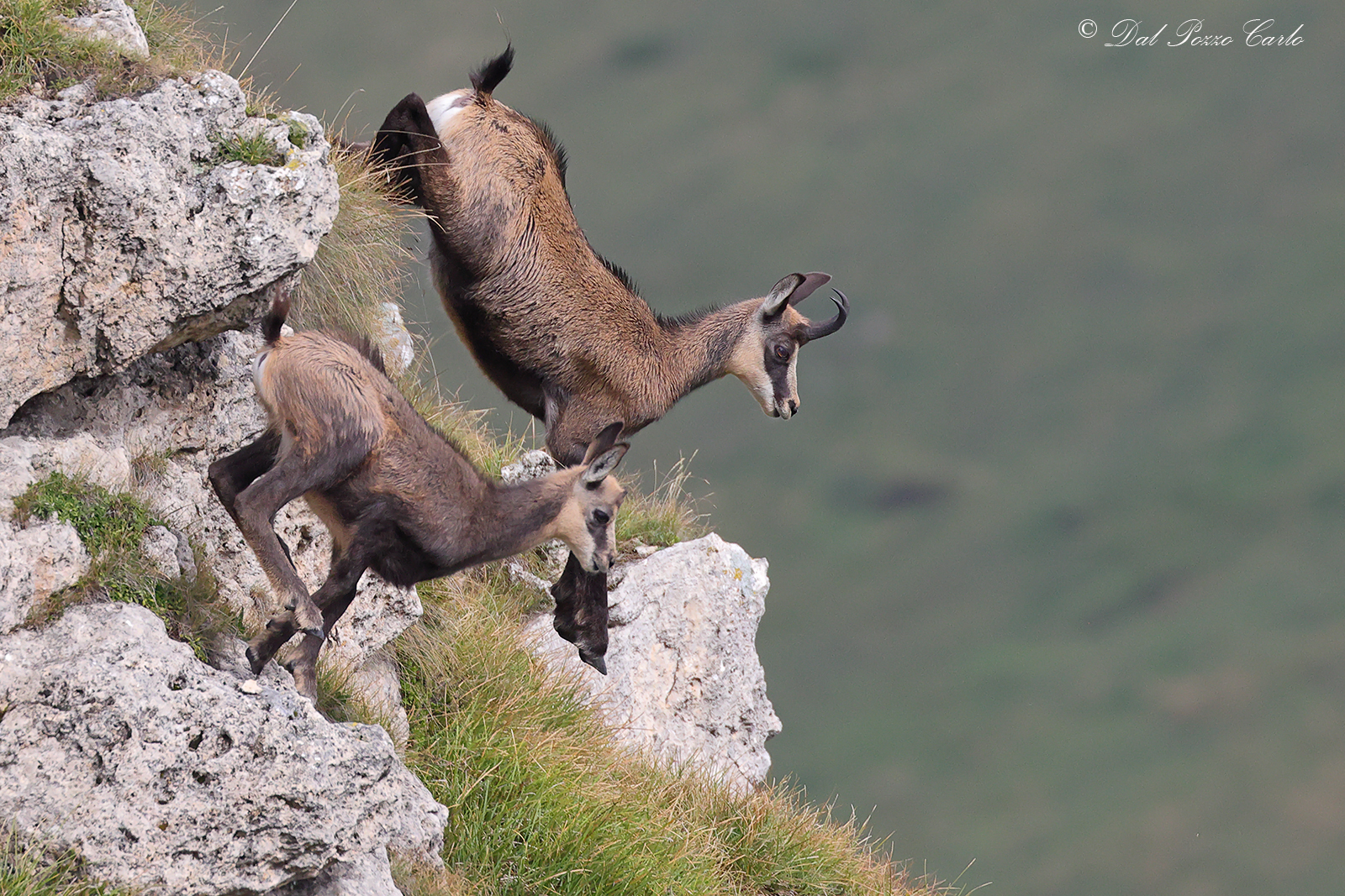 At the starting blocks