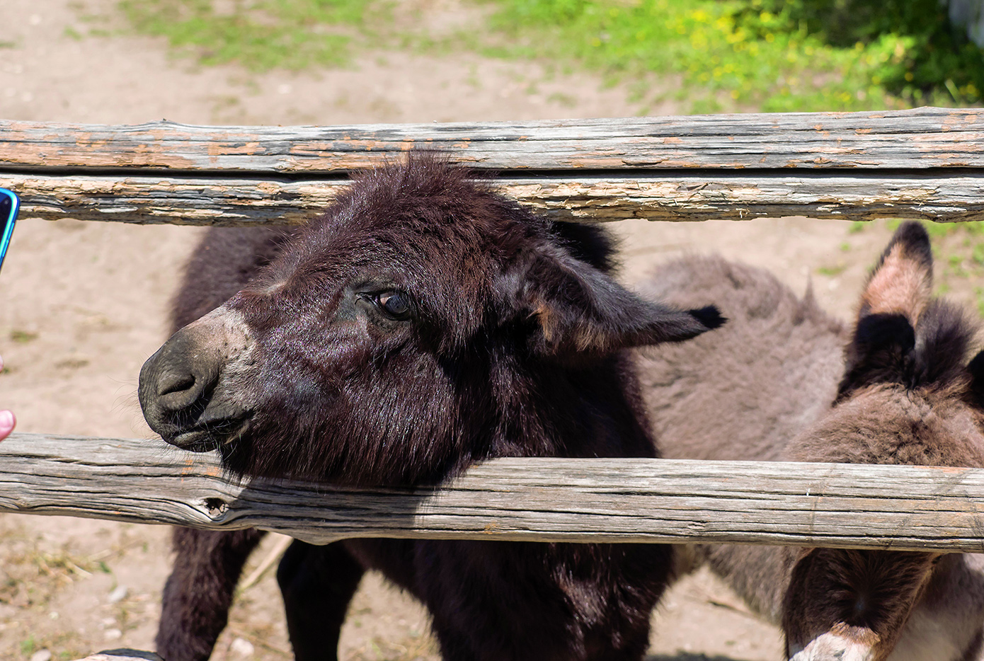 Evasion - Clumsy attempt