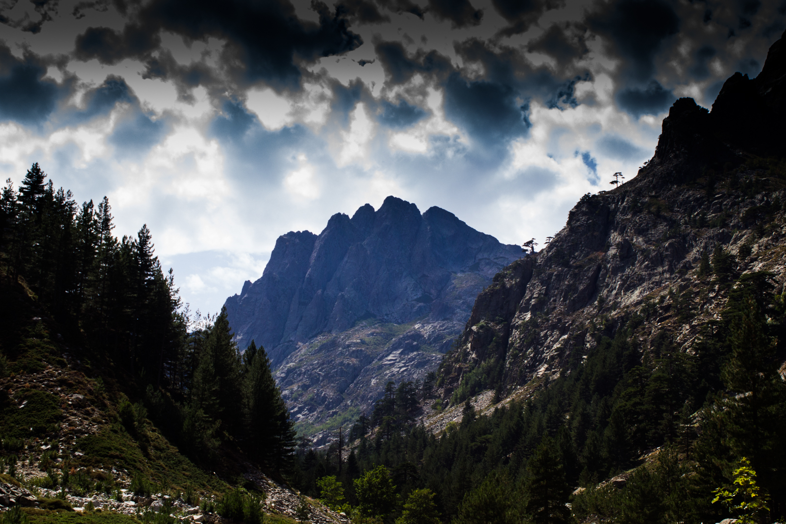 montagne nella gola della restonica