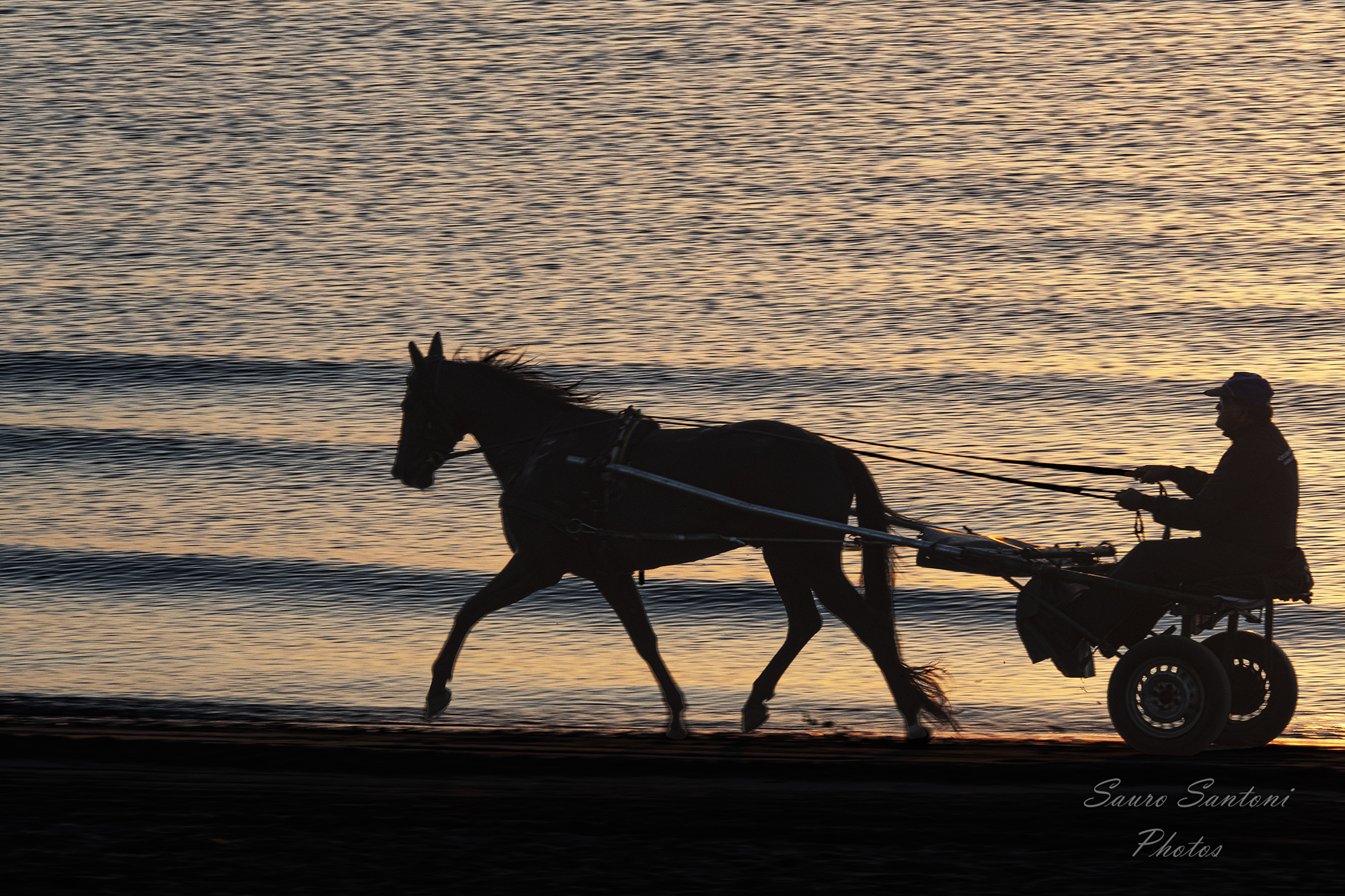 silhouette con panning