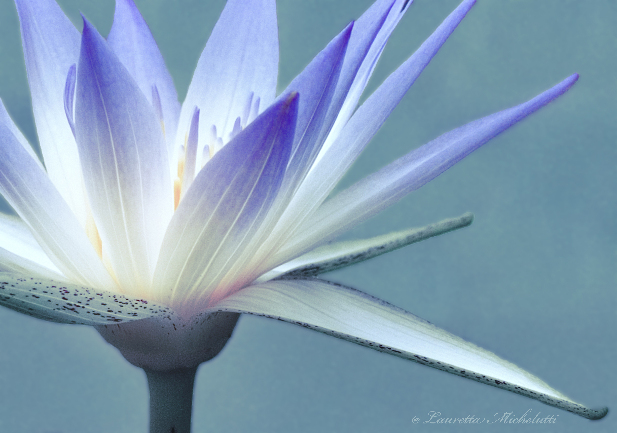blue