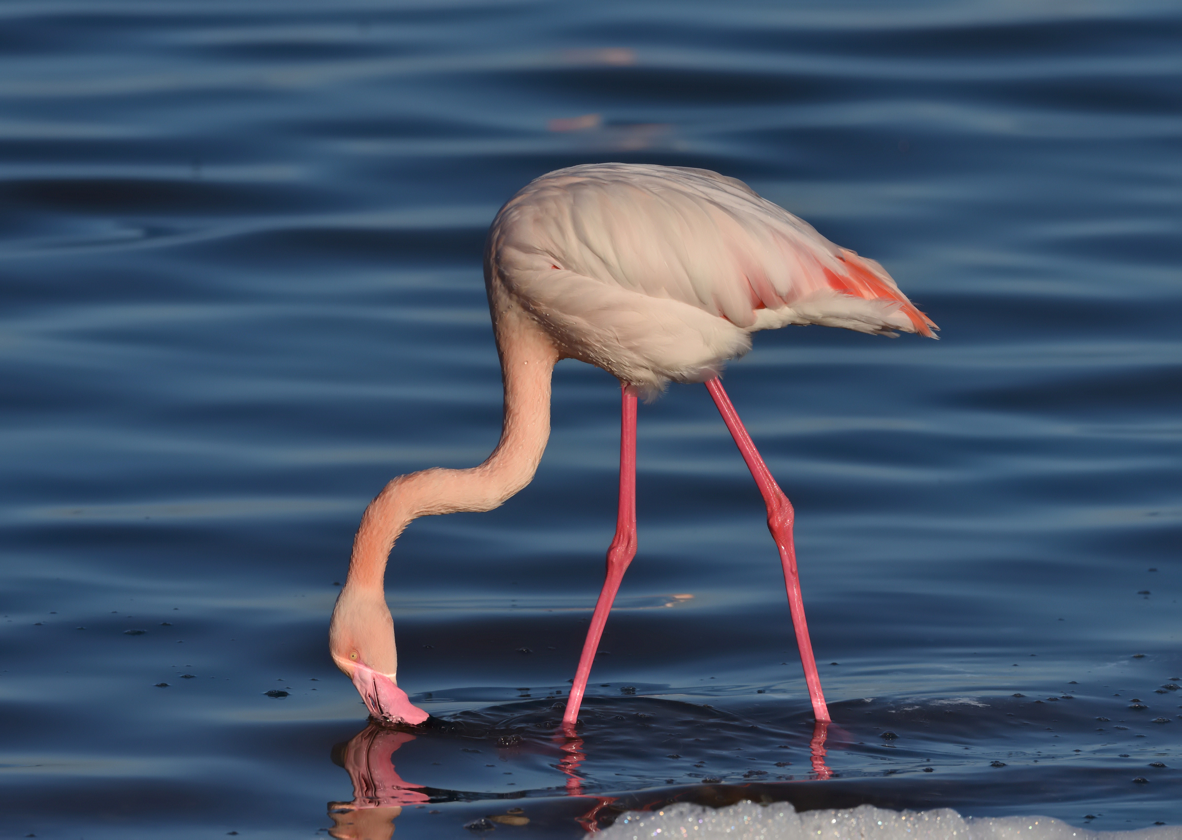 Colors of the lagoon