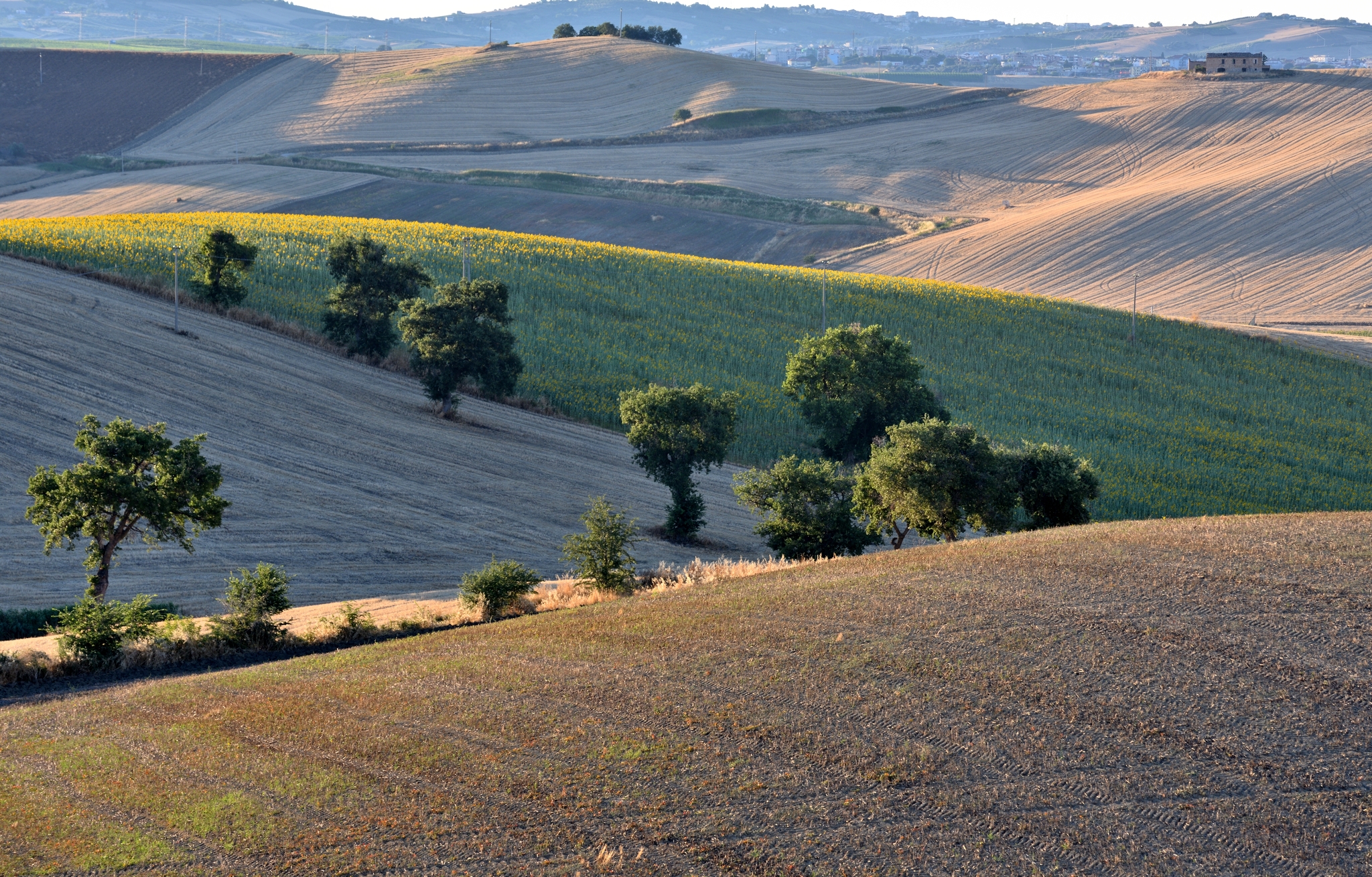 Diverse colline diverse