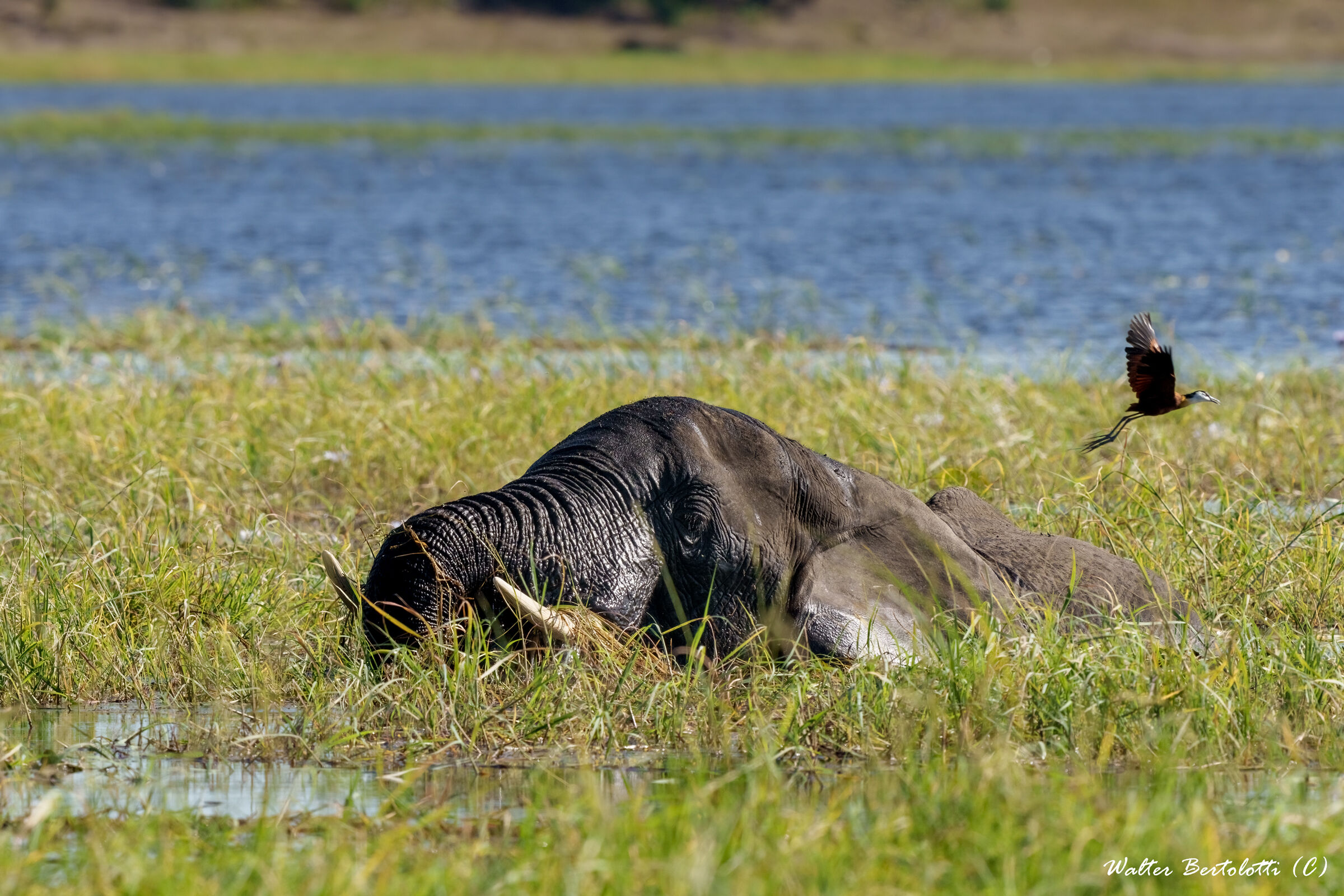 colazione in ammollo