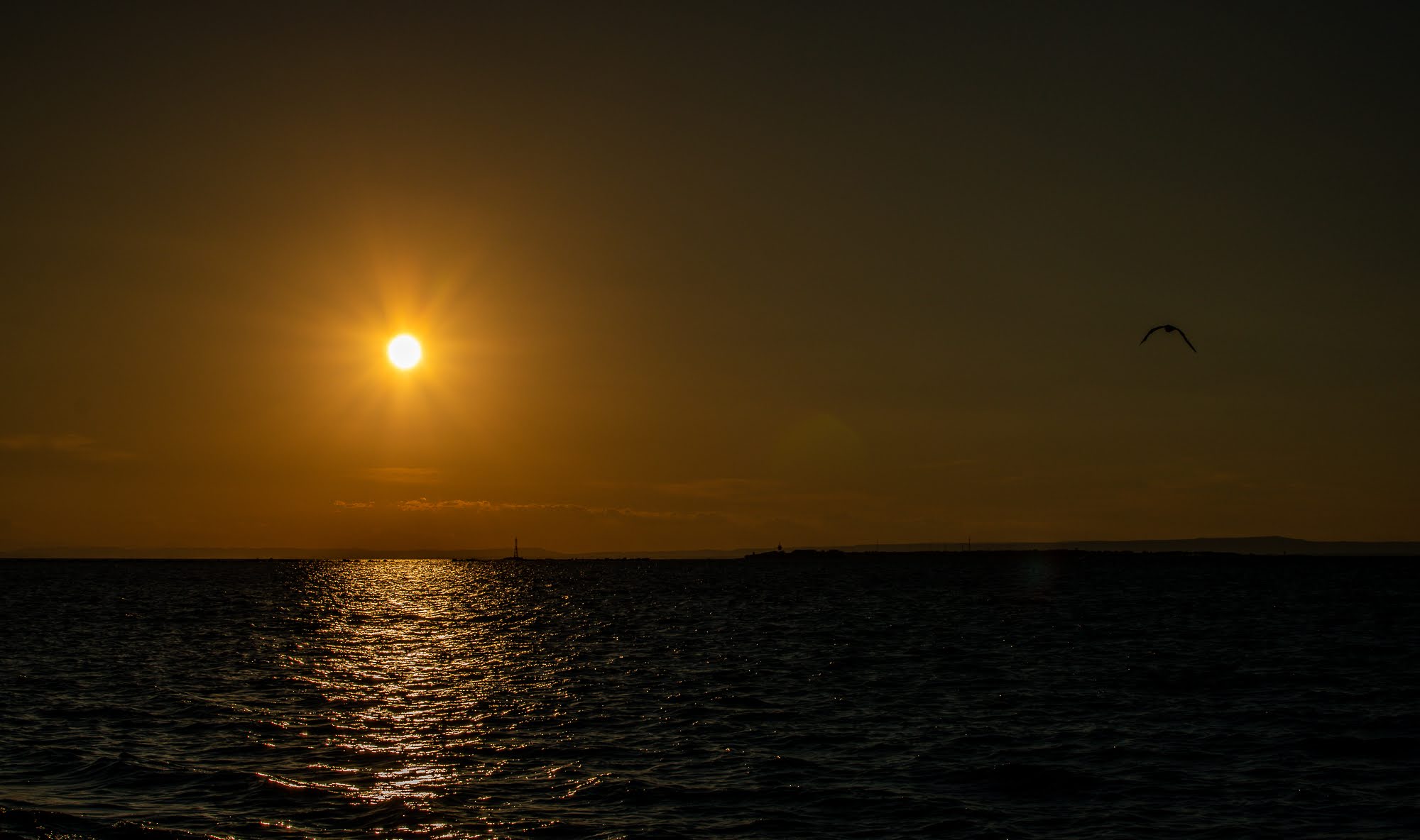 Viale del tramonto, Taranto