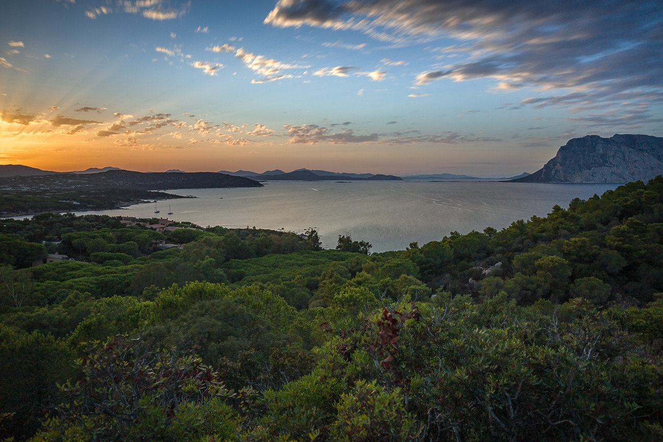 Capo coda cavallo Sardegna