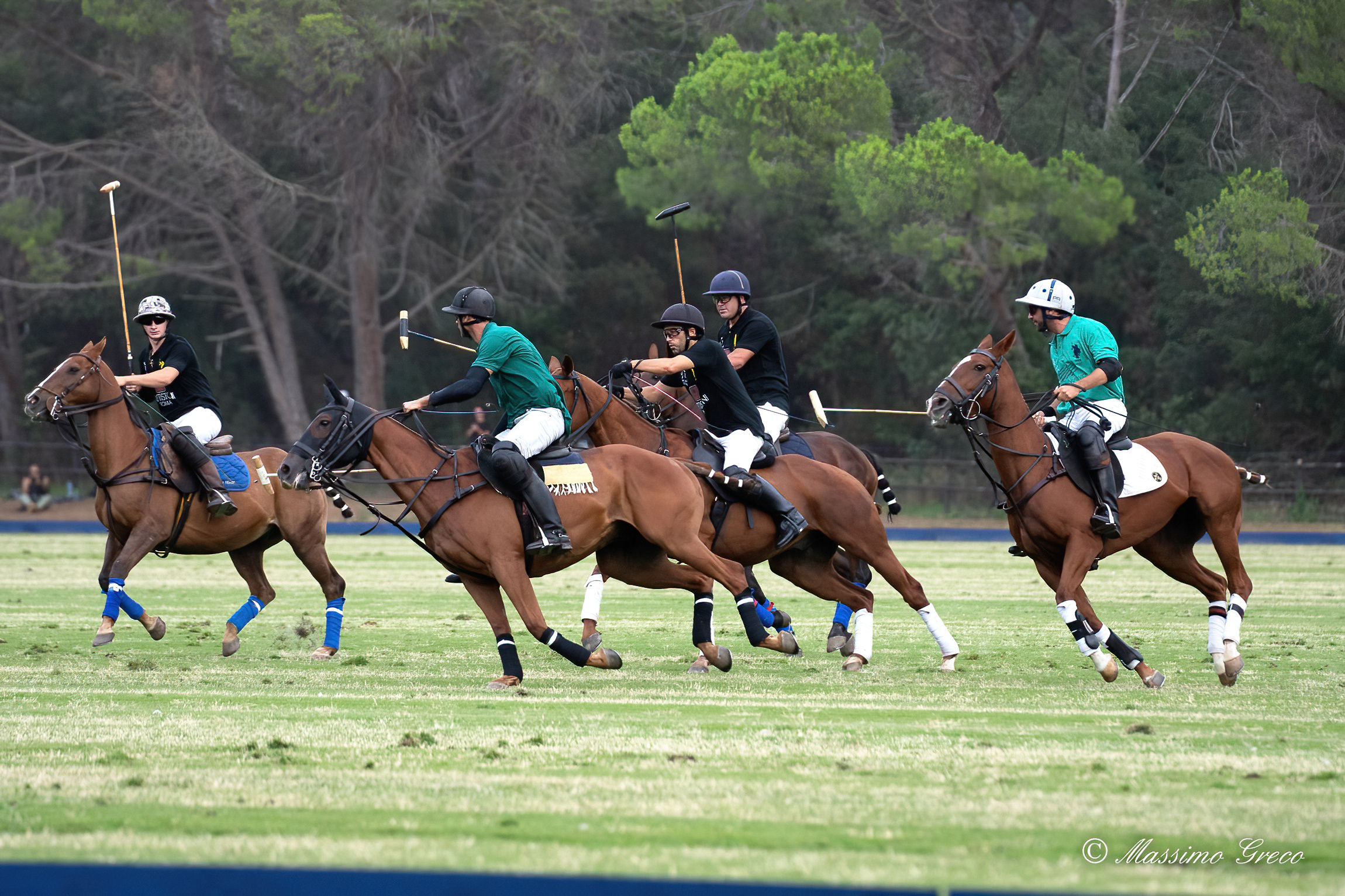 The Polo Match