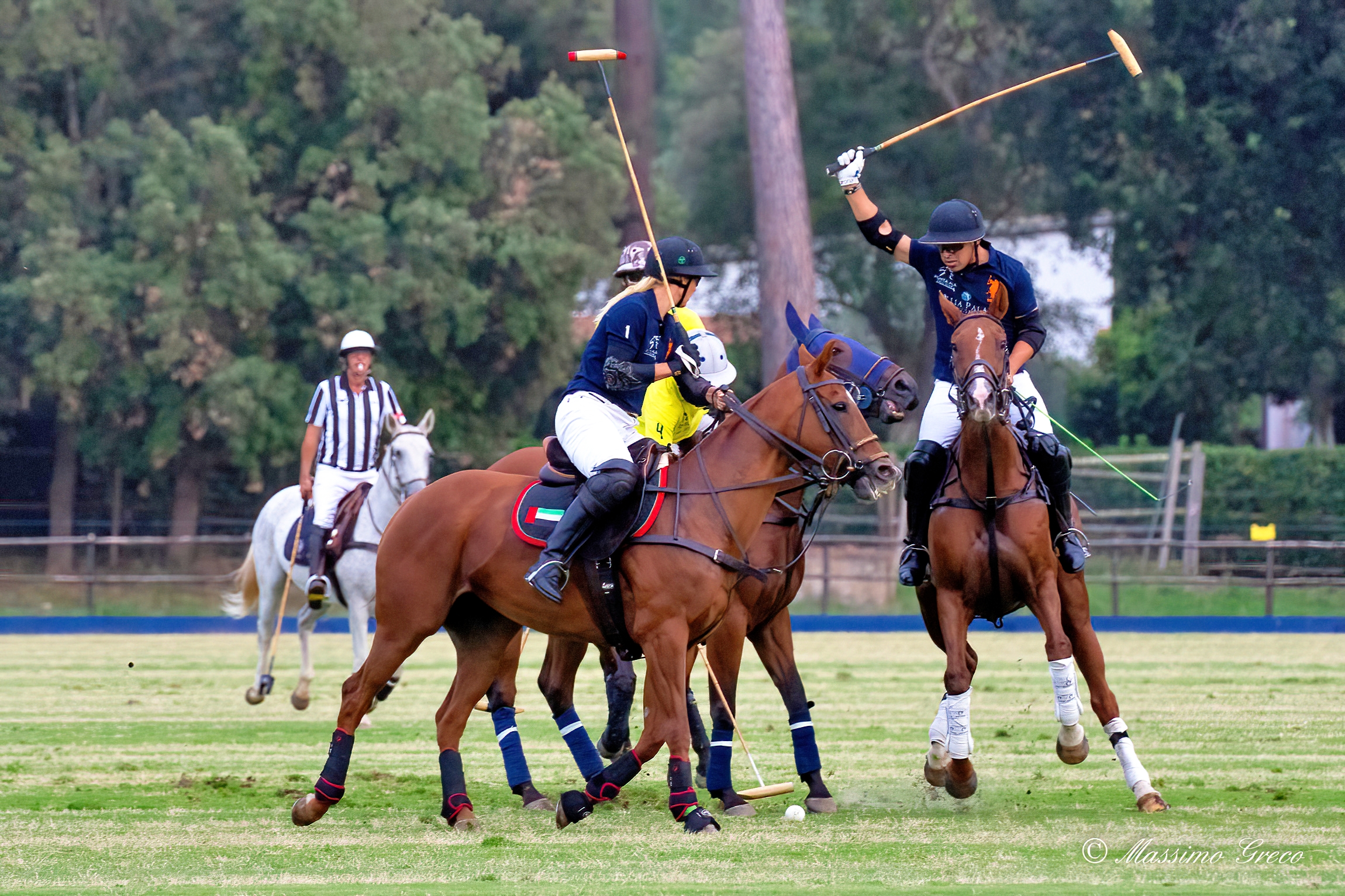 The Polo Match