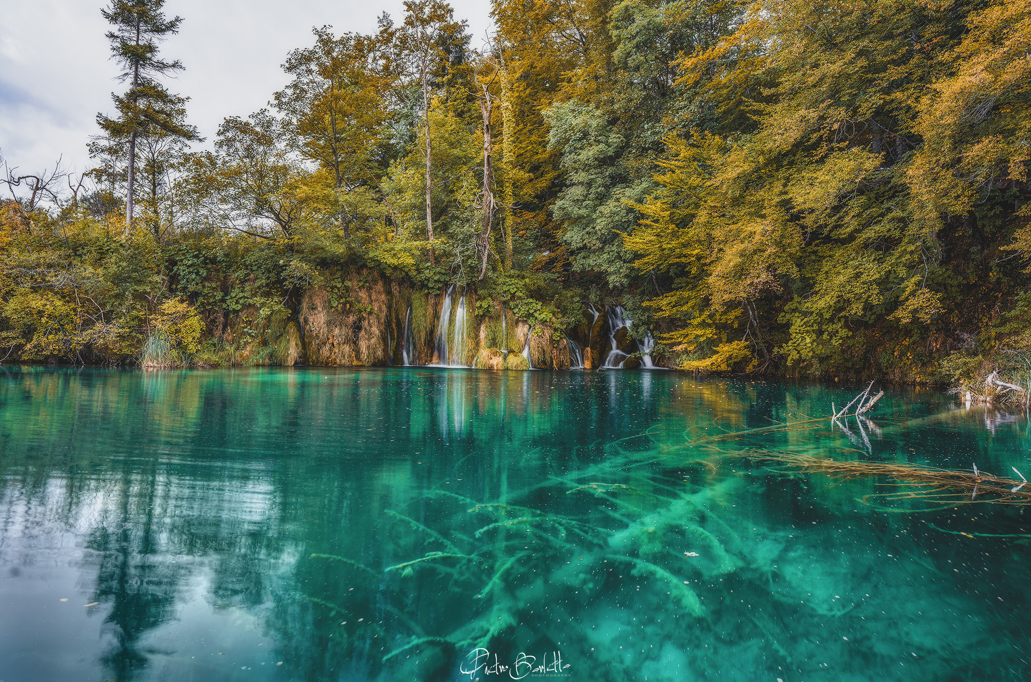 Trunk immersed, at the Plitzvice