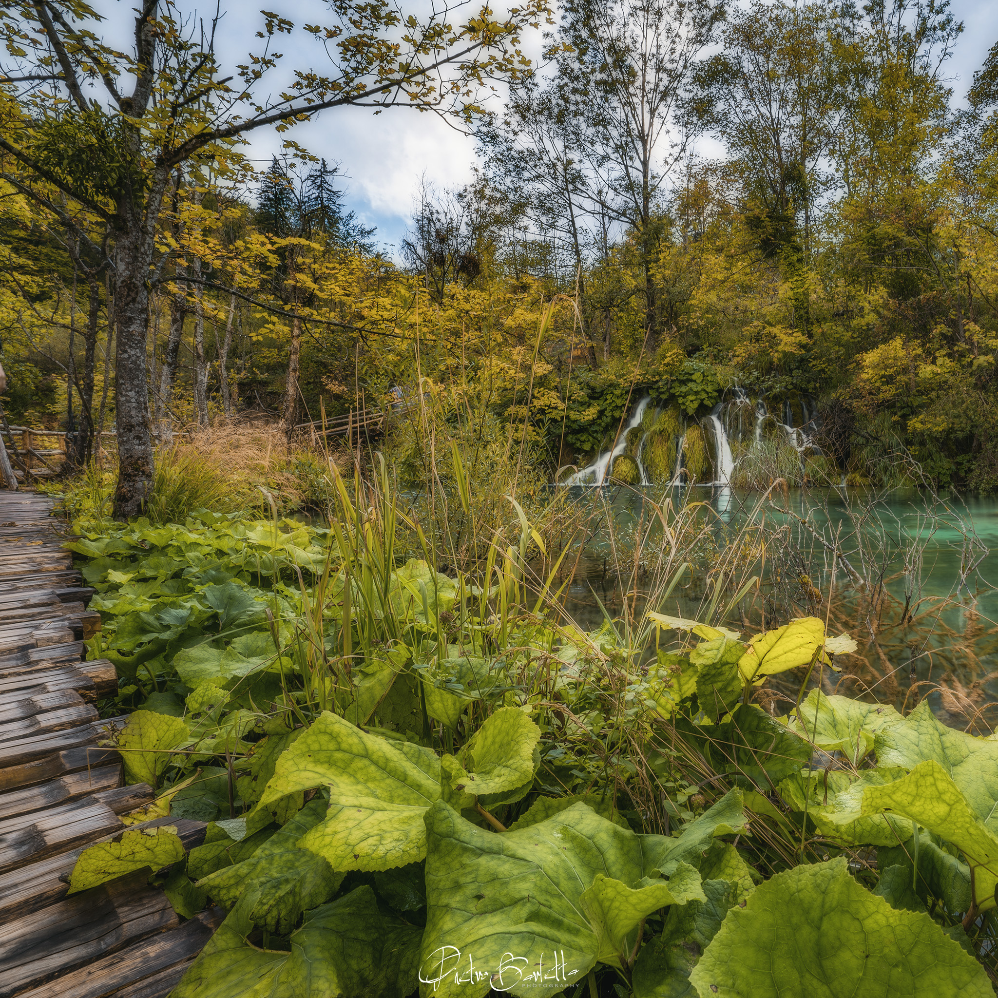 Leaf Trail, Plitzvice