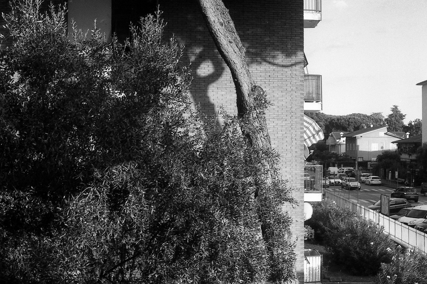 Test Zenit C (1)