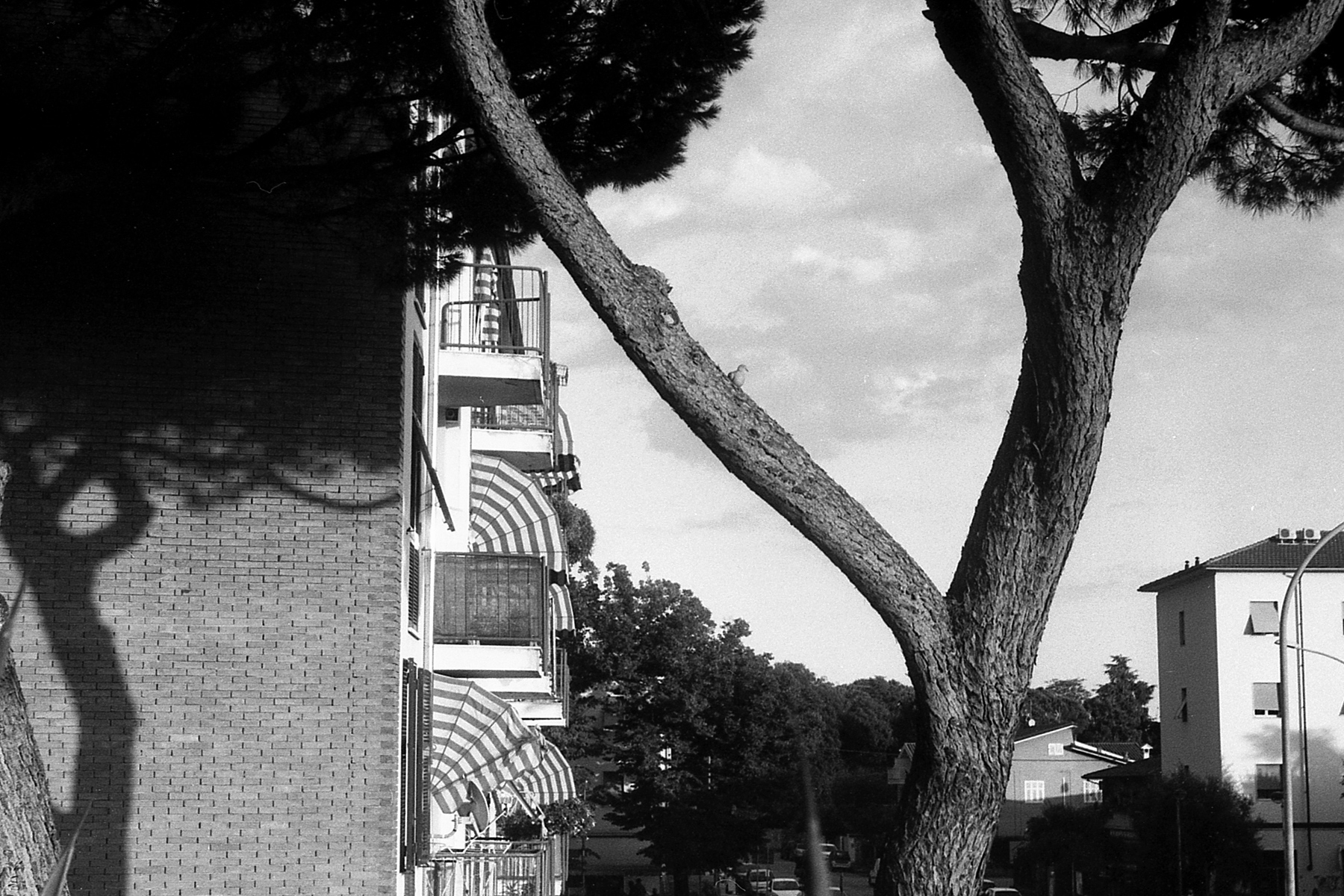 Zenit C Test (3)