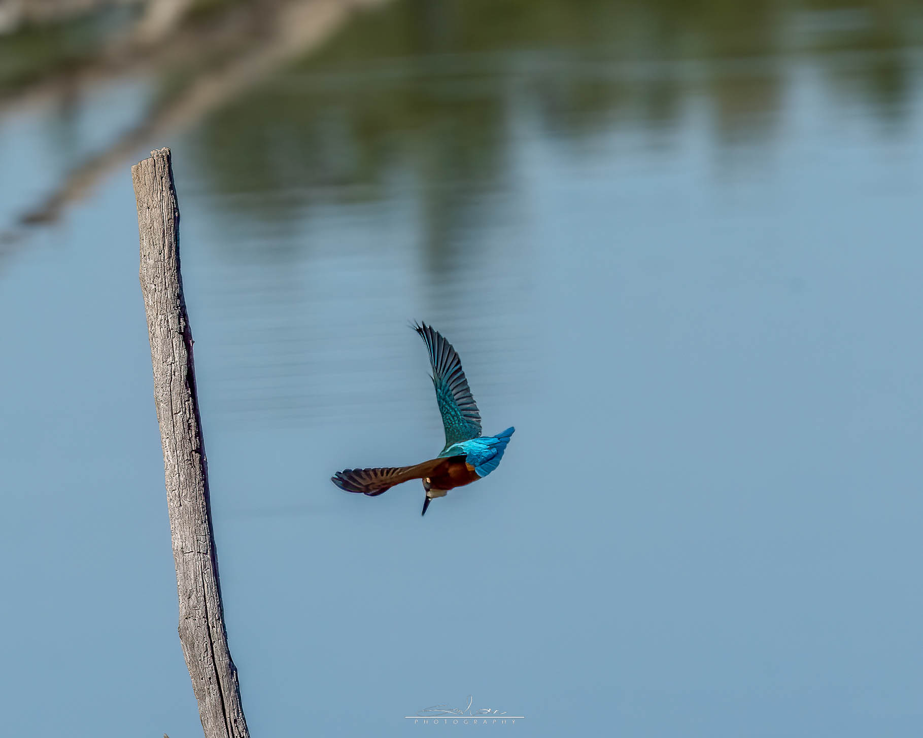 the flight of martino 2