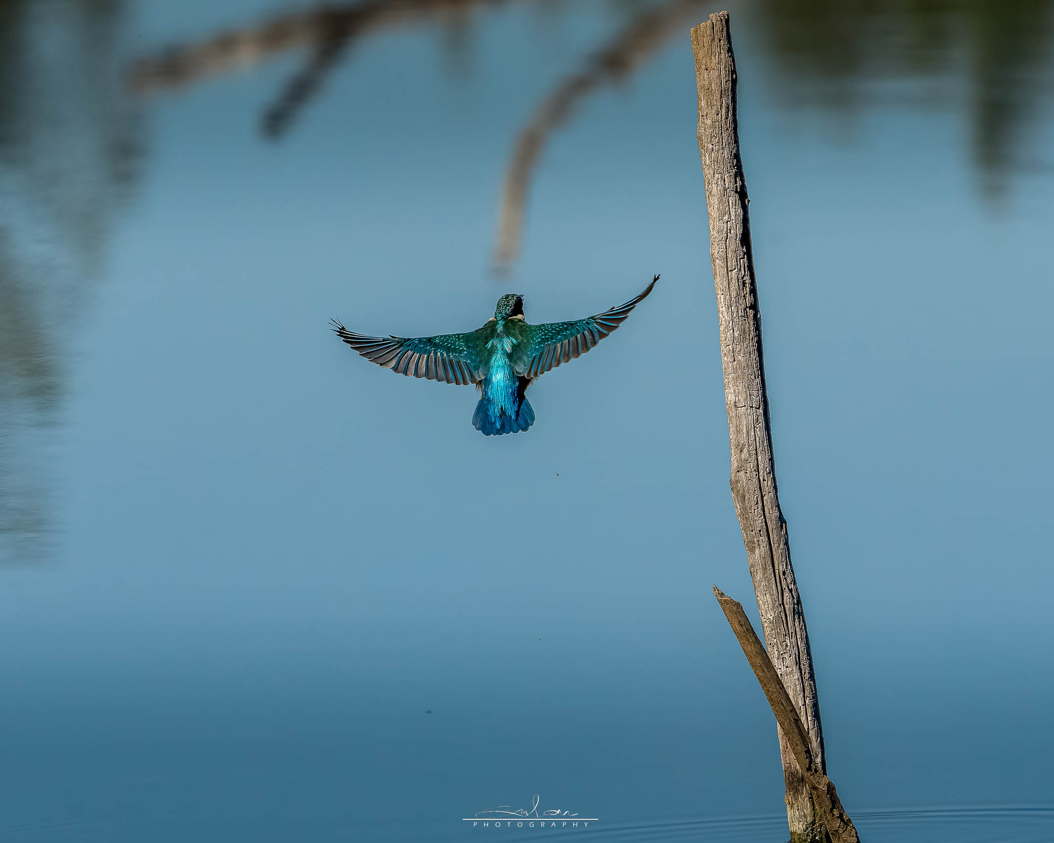 the flight of martino 3