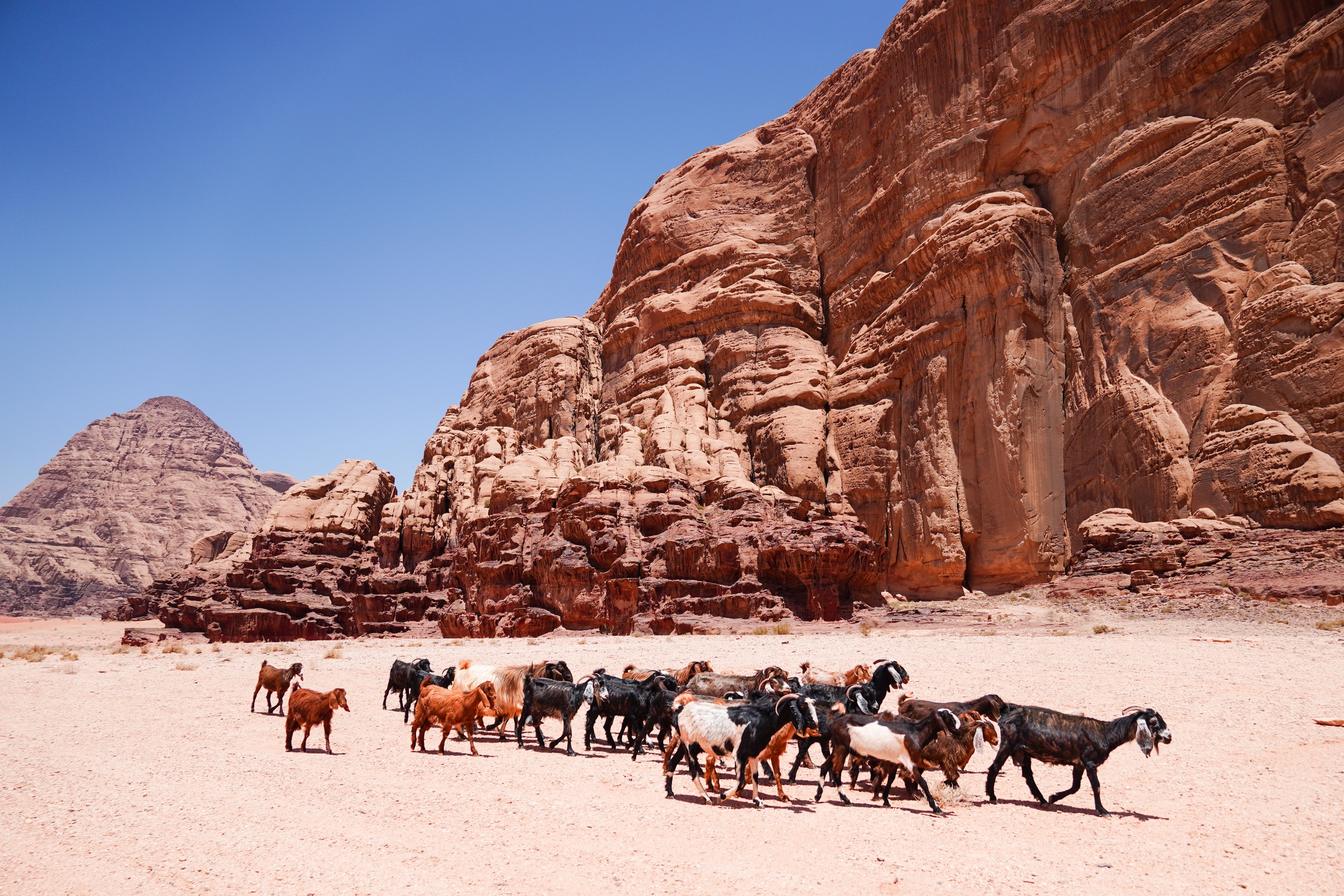 Wadi Rum