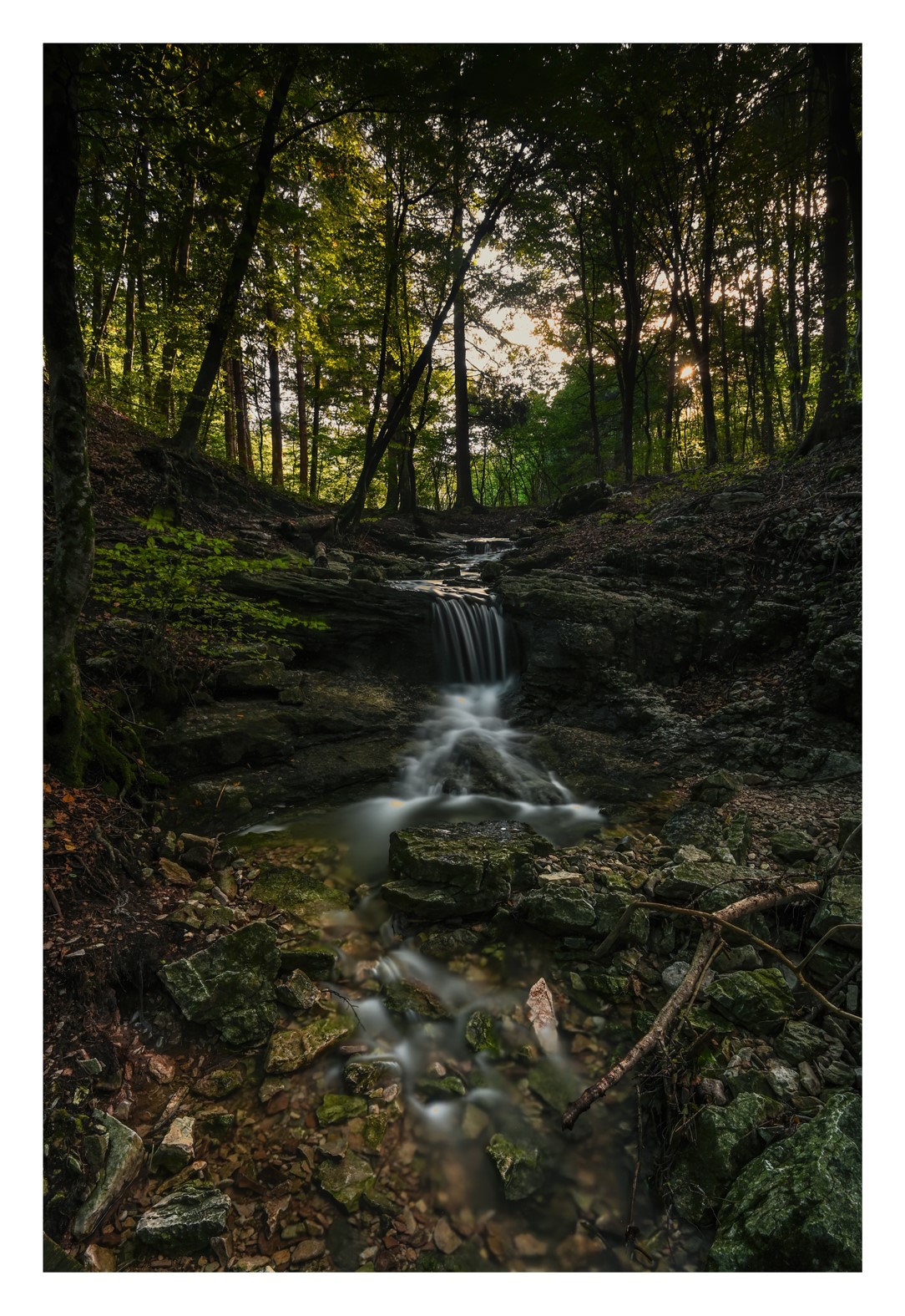 The forest of breath